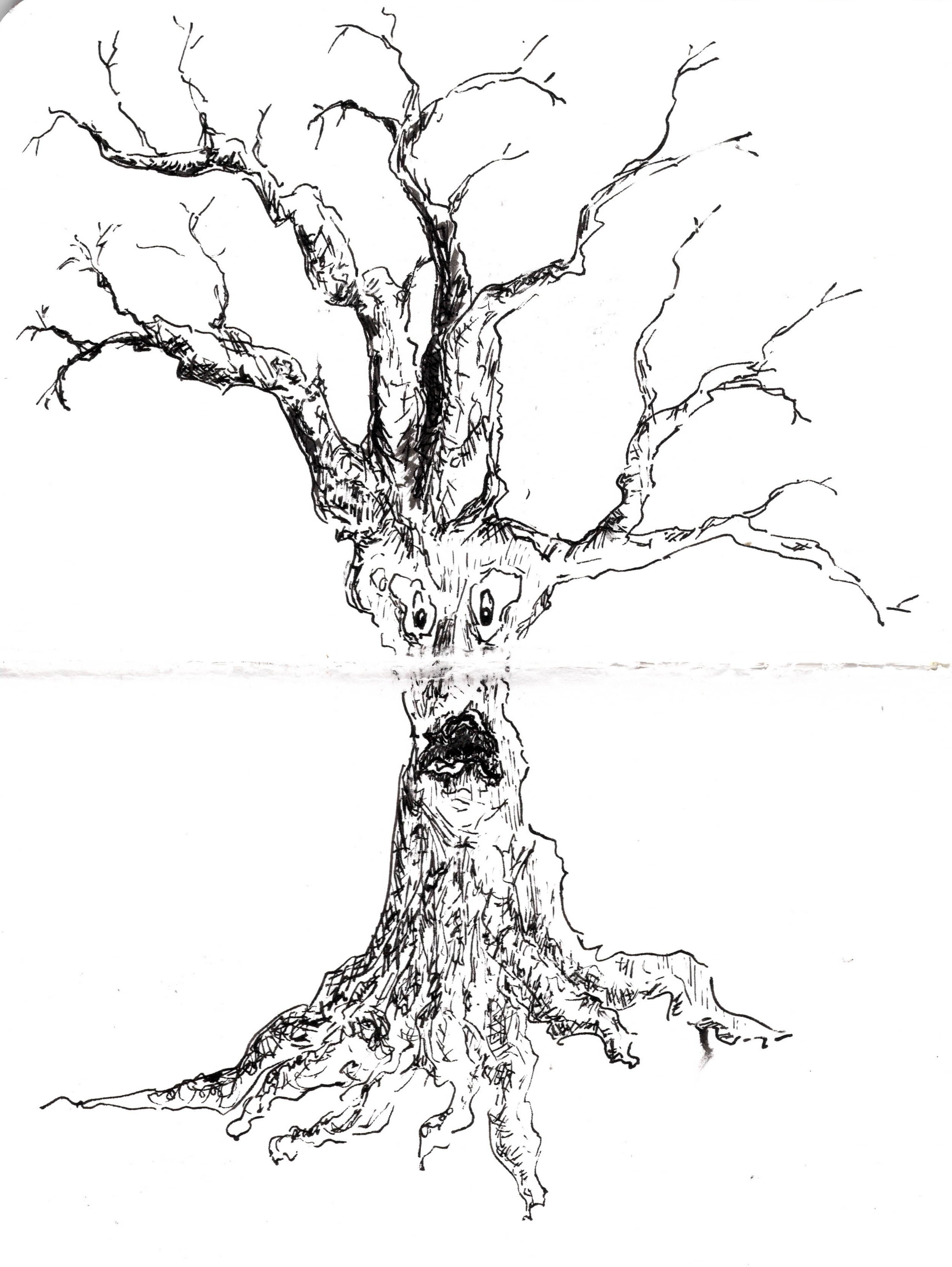 Tree with Face Sketch.jpg