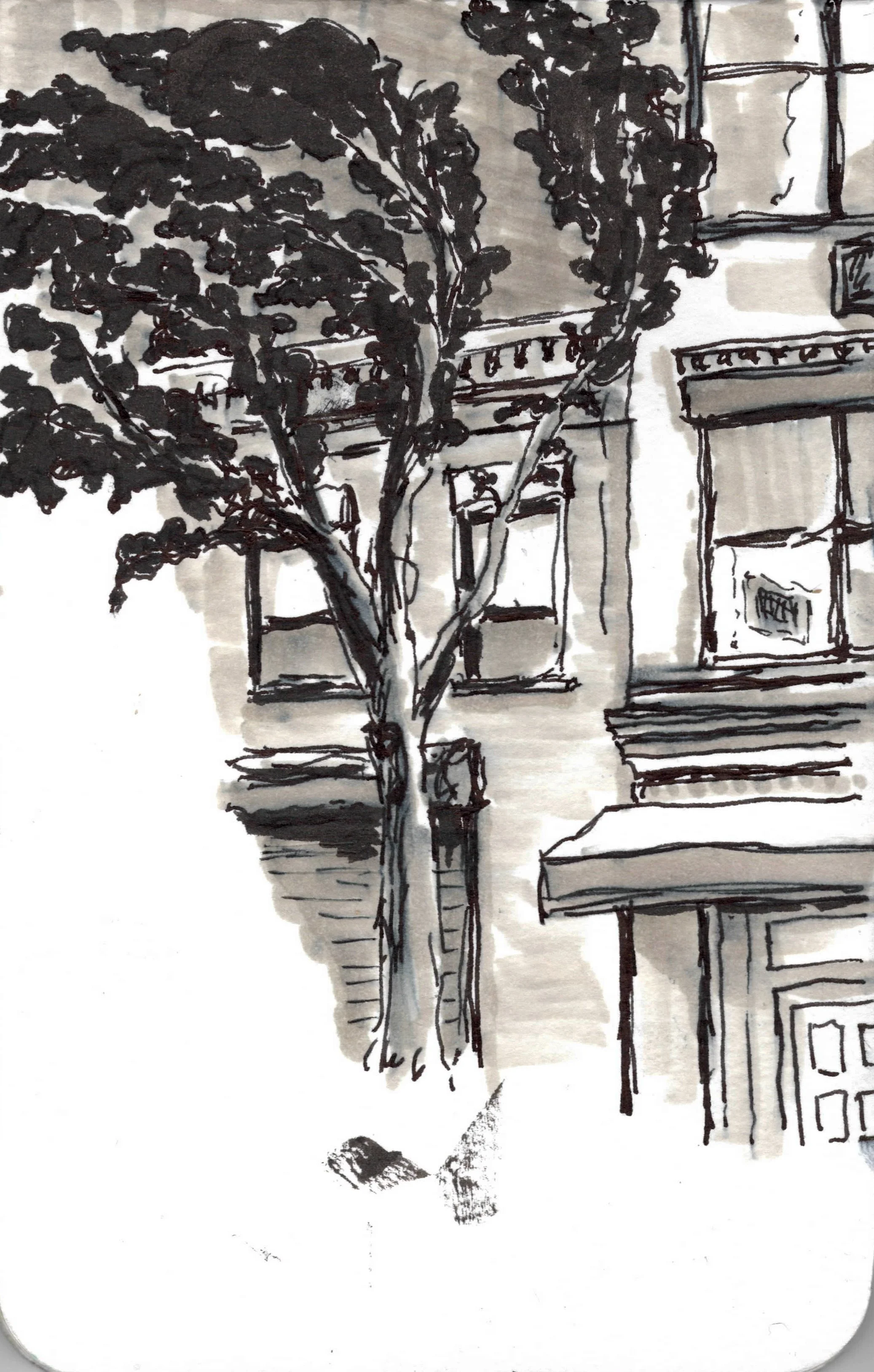 Sketchbook 2.jpg