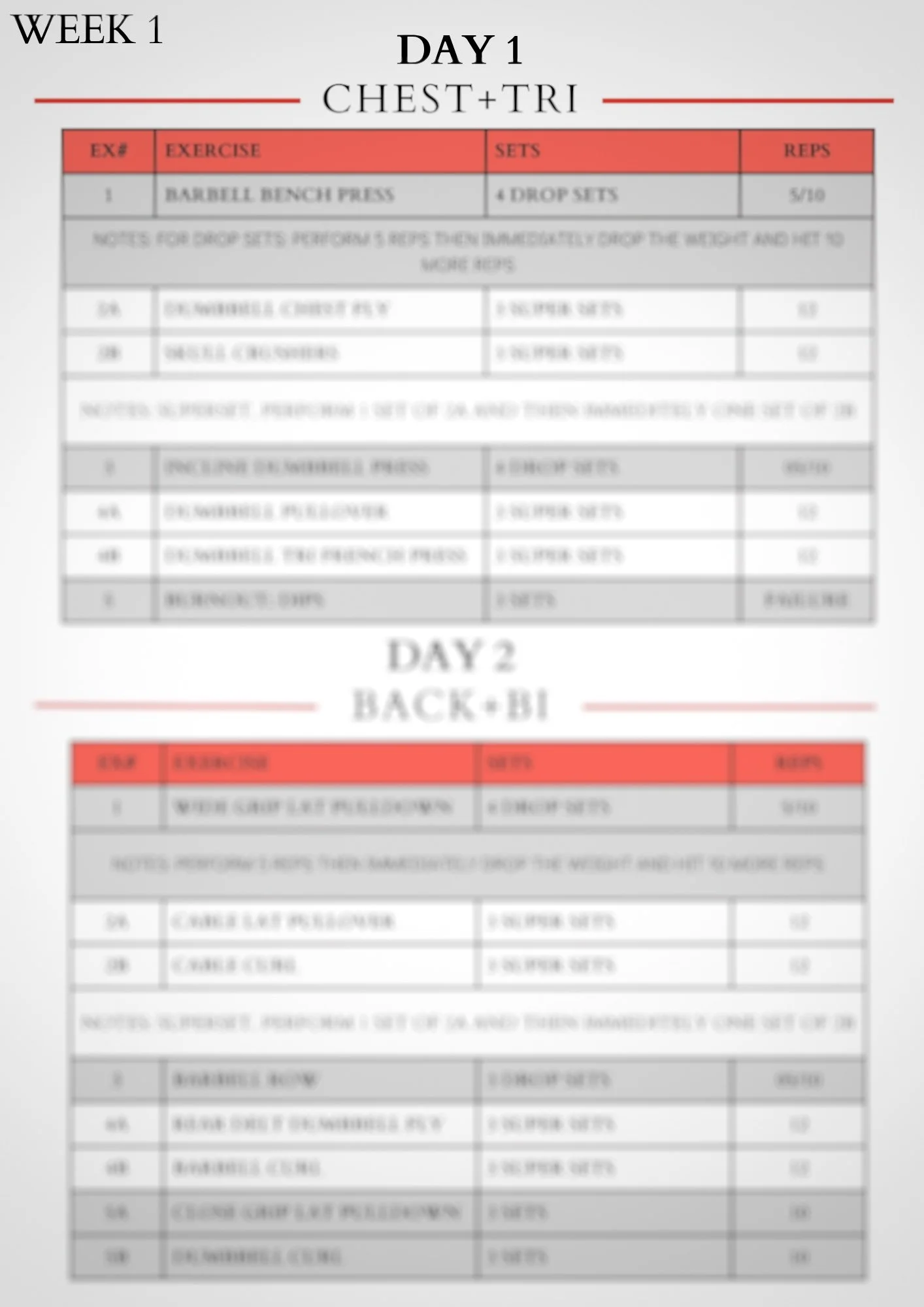 THE BODYBUILDING PROGRAM-4.jpg