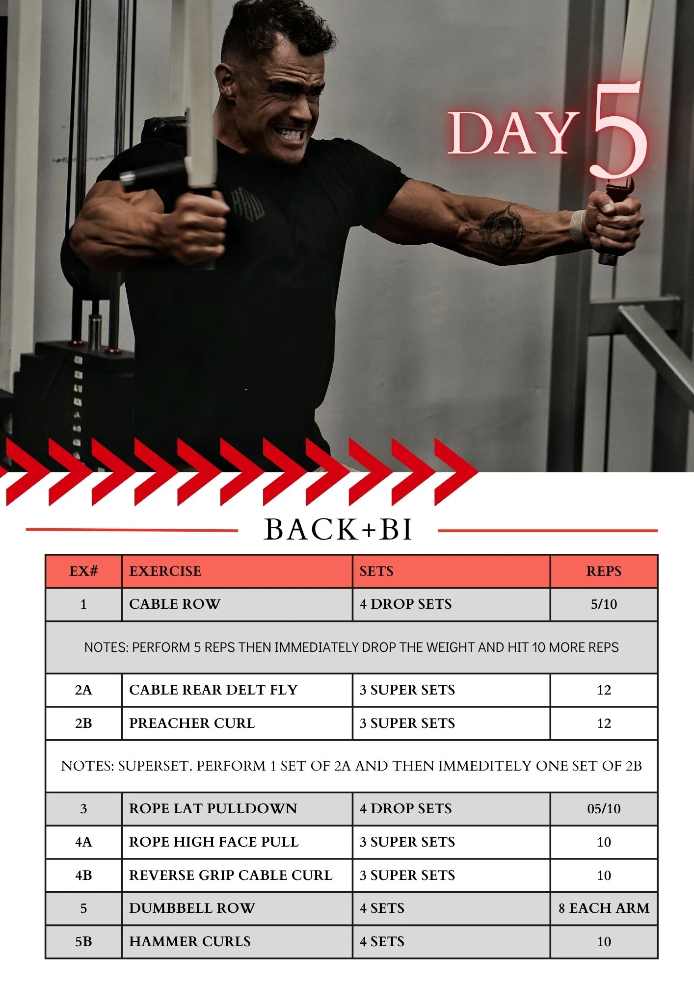 THE BODYBUILDING PROGRAM-6.jpg