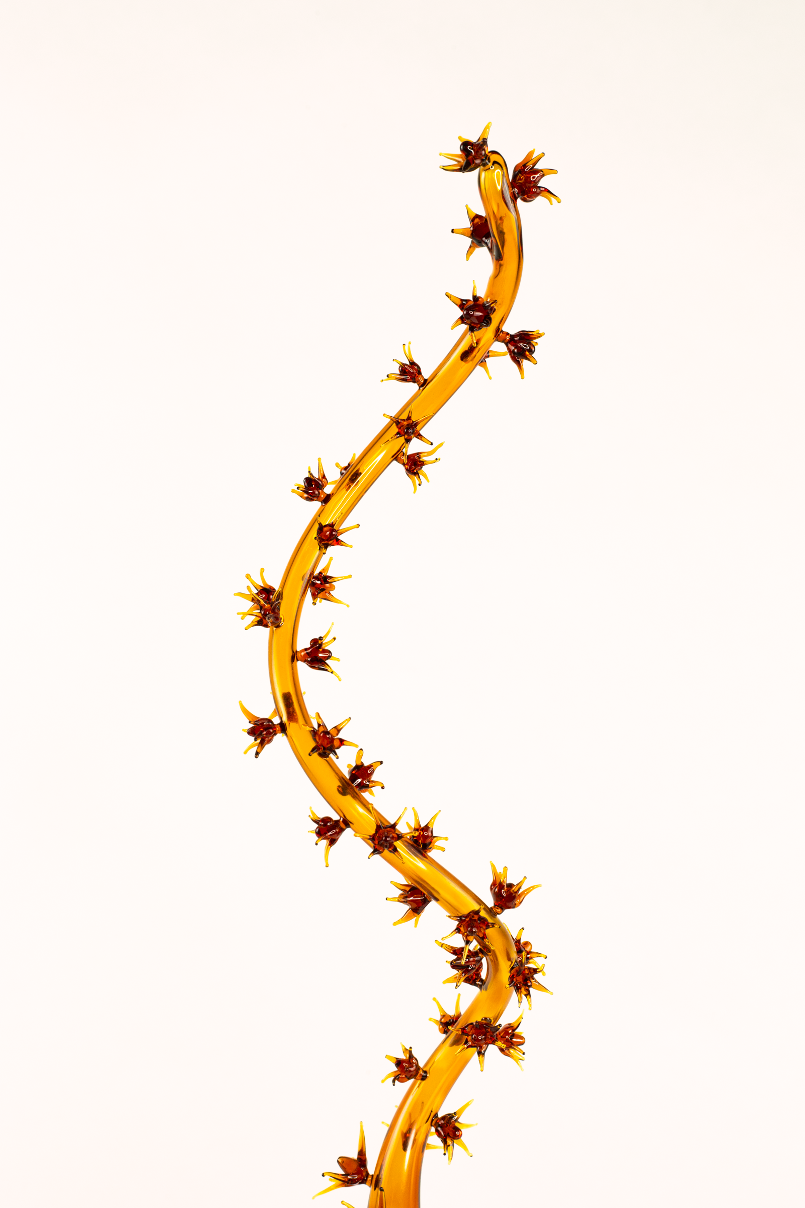 2E6B1973.png