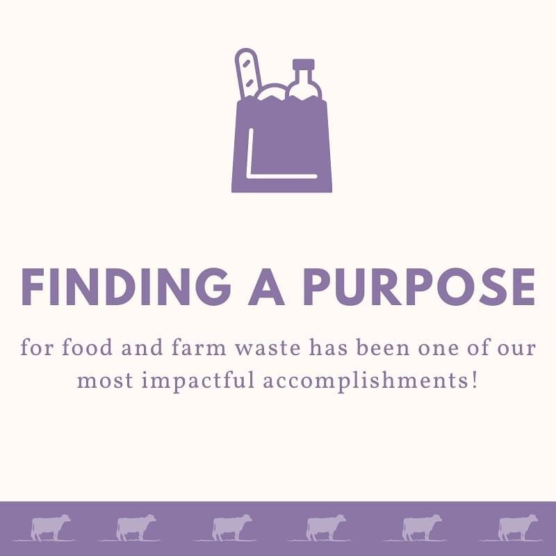 With our bio-digester, nutrients from our farm and food waste from the surrounding community is repurposed. The waste turns into liquid for fertilizer for our farms, solid cow bedding, and bio-gas that powers not only our farms, but also the surround