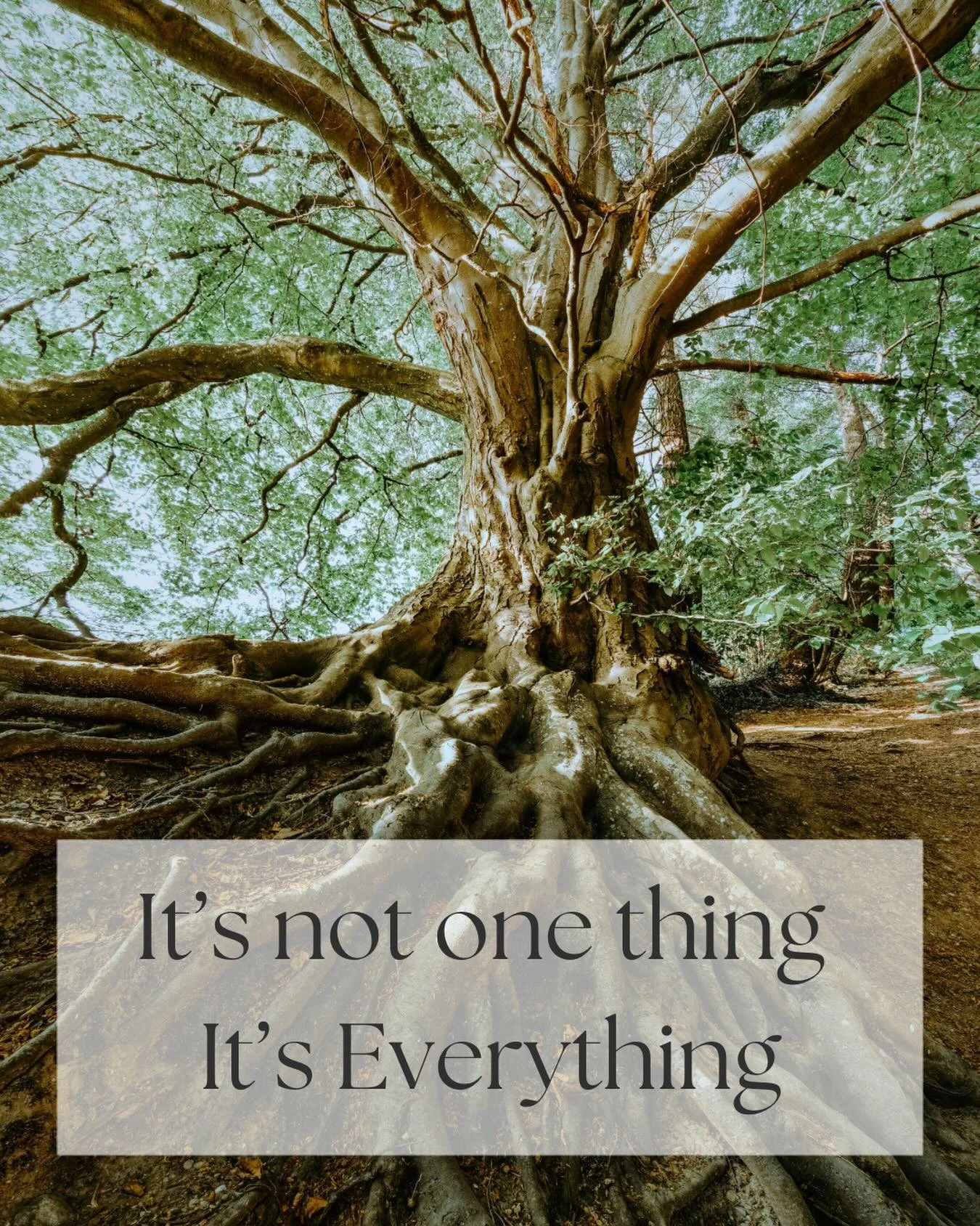 𝘐𝘵&rsquo;𝘴 𝘯𝘰𝘵 𝘵𝘩𝘢𝘵 𝘰𝘯𝘦 𝘭𝘪𝘵𝘵𝘭𝘦 𝘵𝘩𝘪𝘯𝘨 &hellip; ⁣
⁣
⁣
Over the years I&rsquo;ve had many clients that sharing that their injury came from smallest little thing. ⁣
⁣
Whether it was stepping off a curb, reaching into the back seat