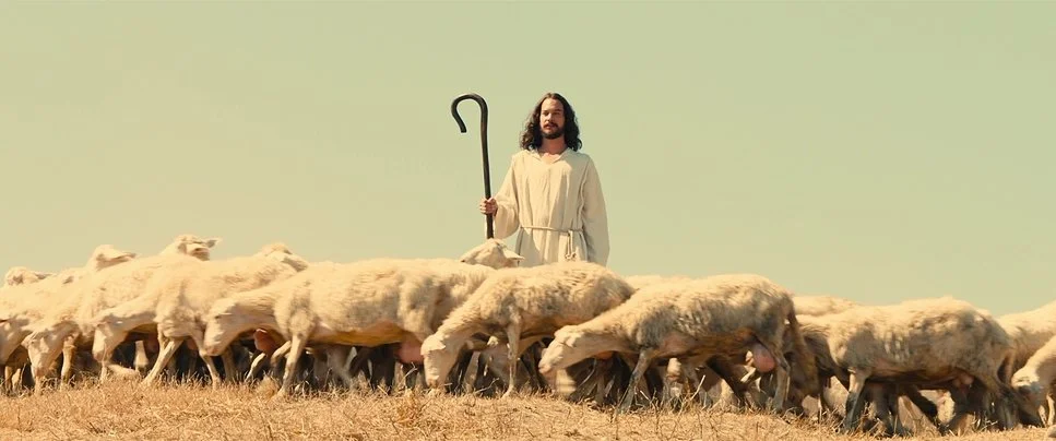 Neural Herding, Gut Signals, and the Storytelling Collective