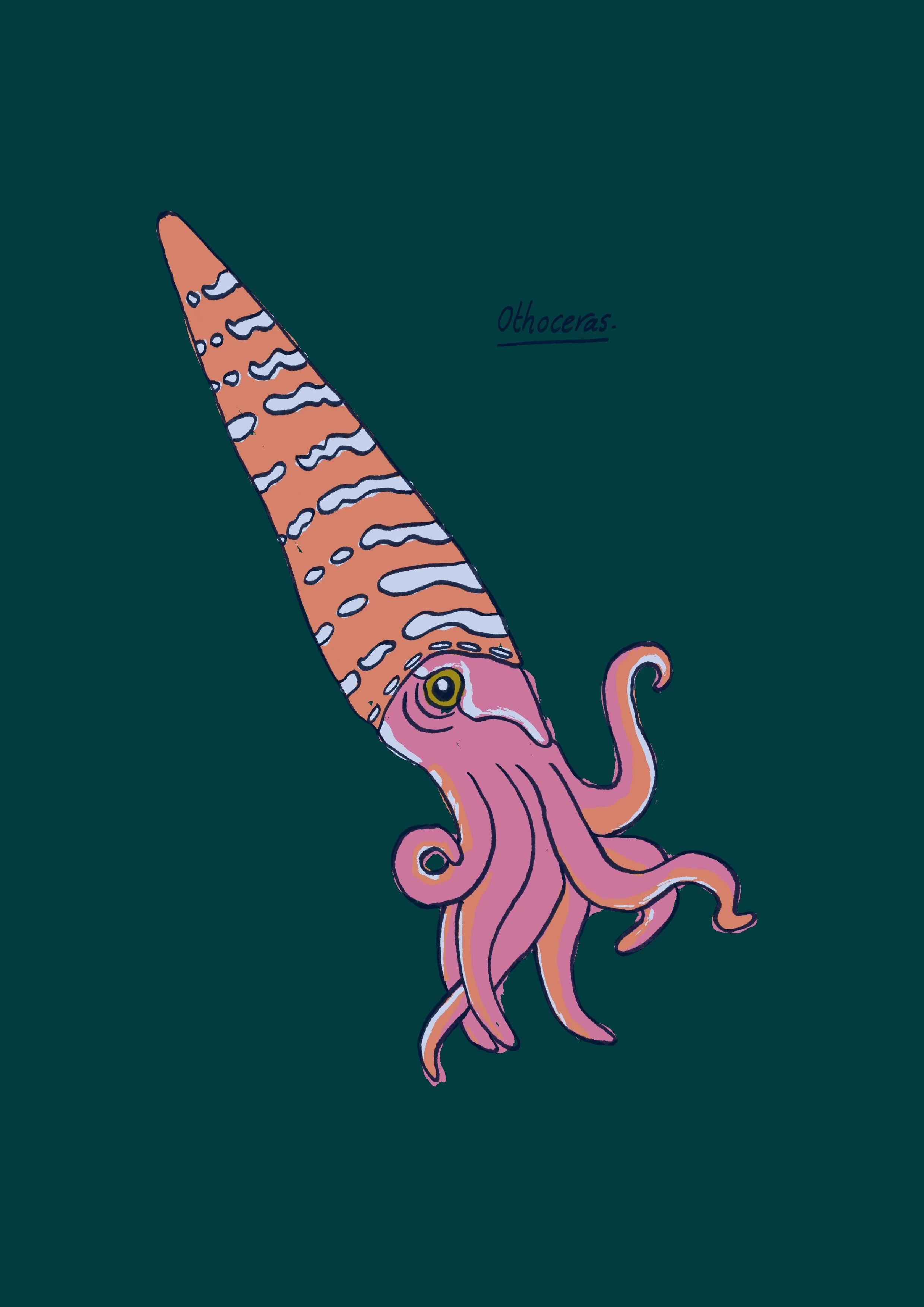 Orthoceras-couleurs-A4.jpg