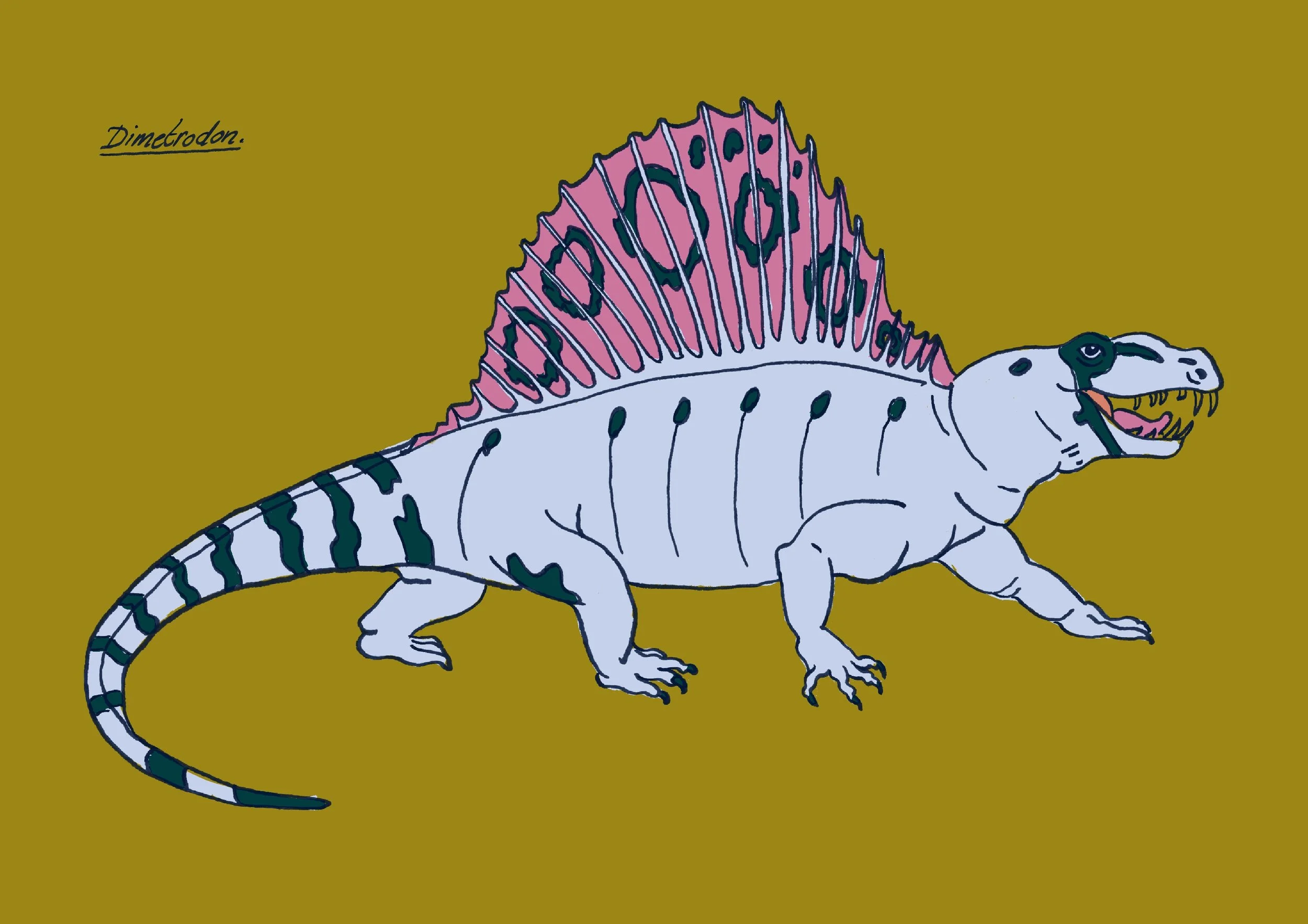 Dimetrodon-couleurs-A4.jpg