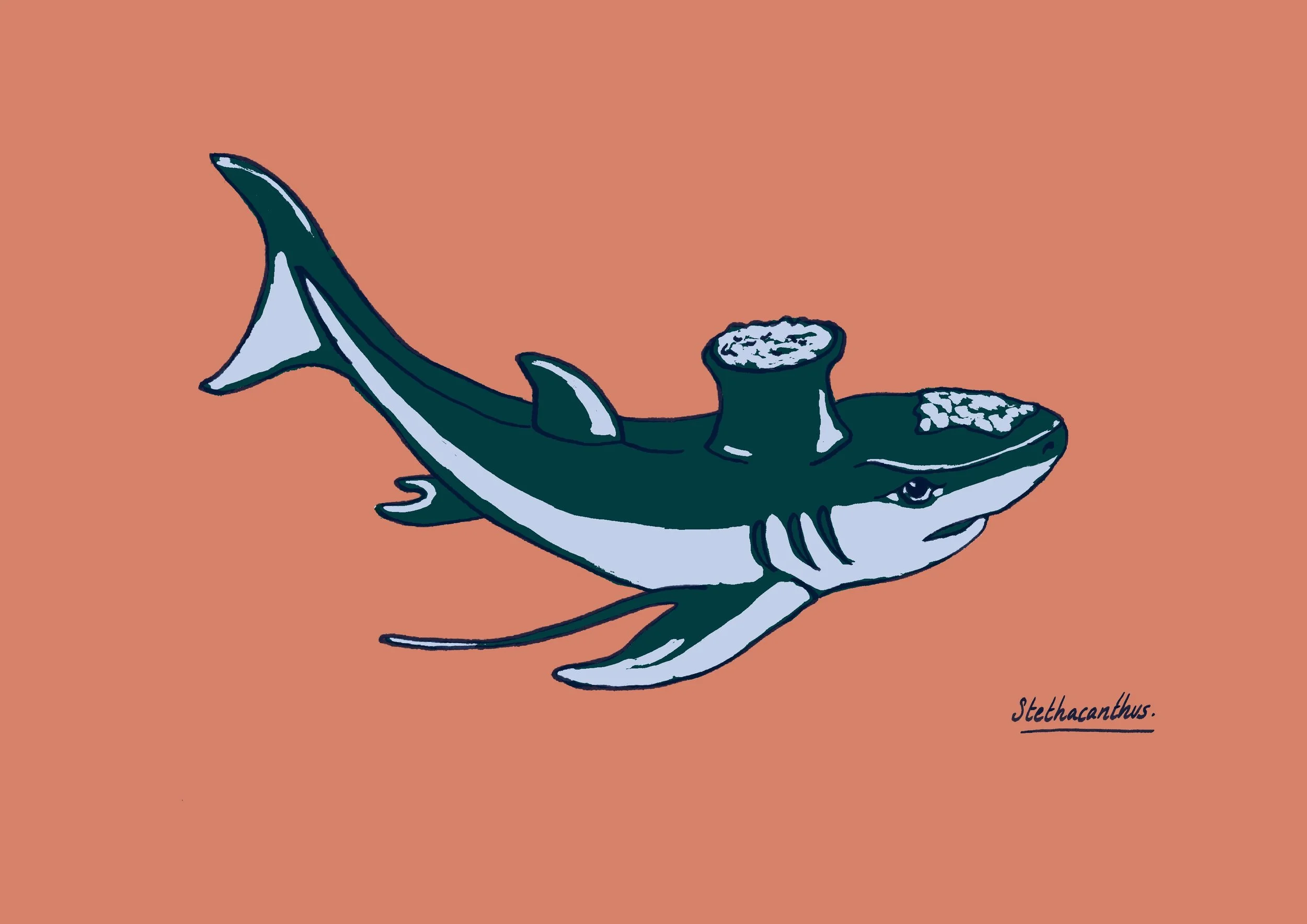 Stethacanthus-couleurs-A4.jpg