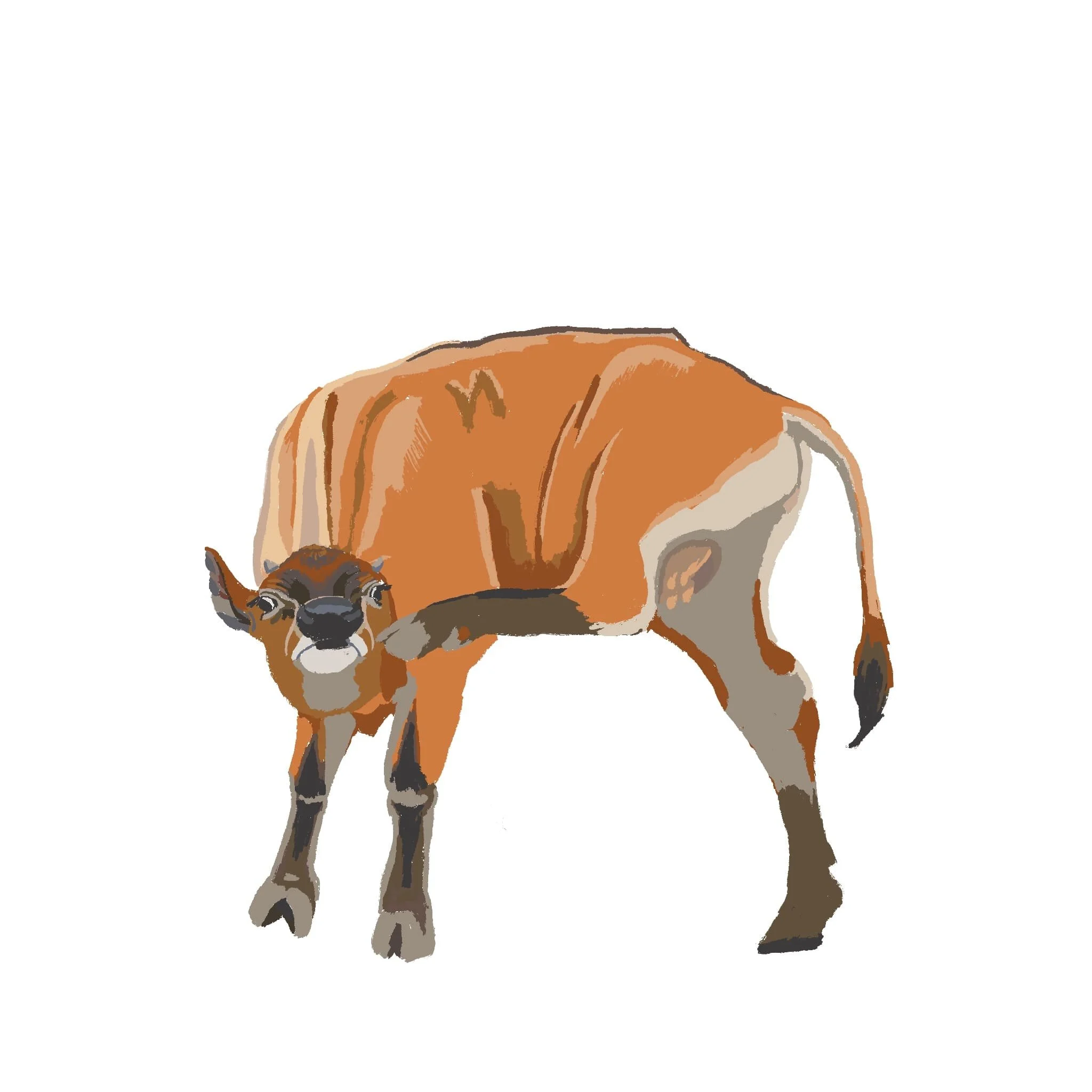 Rusty.jpg