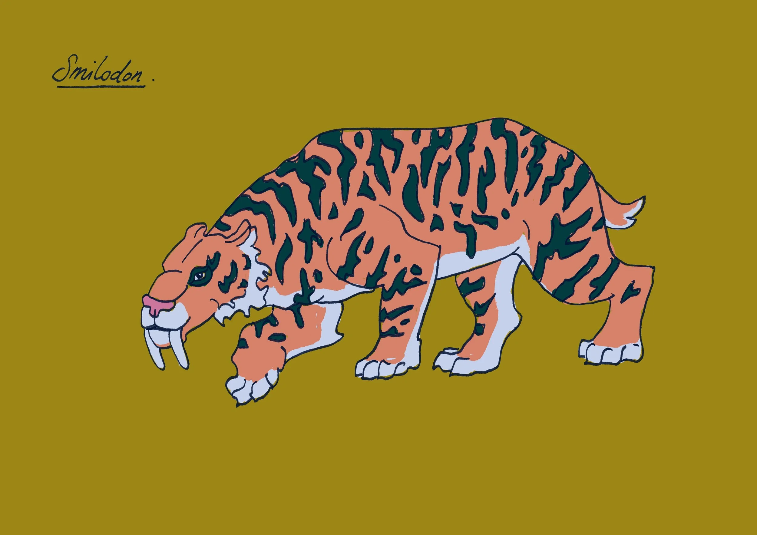 Smilodon-couleurs-A4.jpg