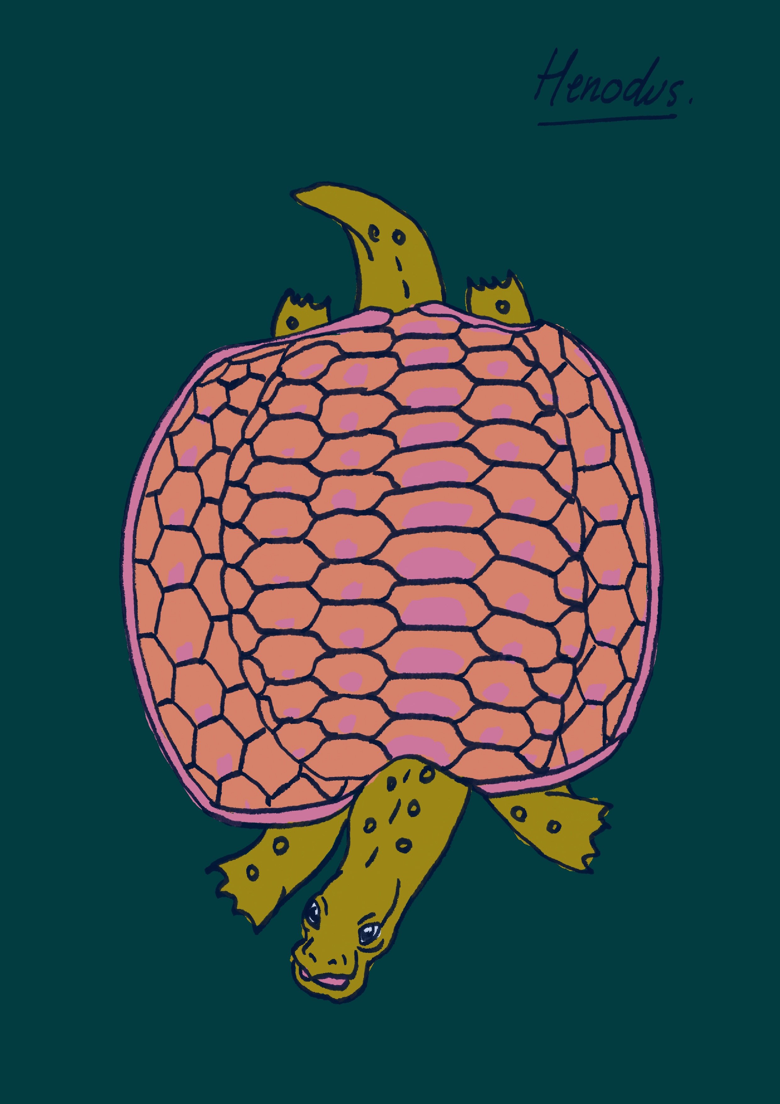 Henodus-couleurs-A4.jpg