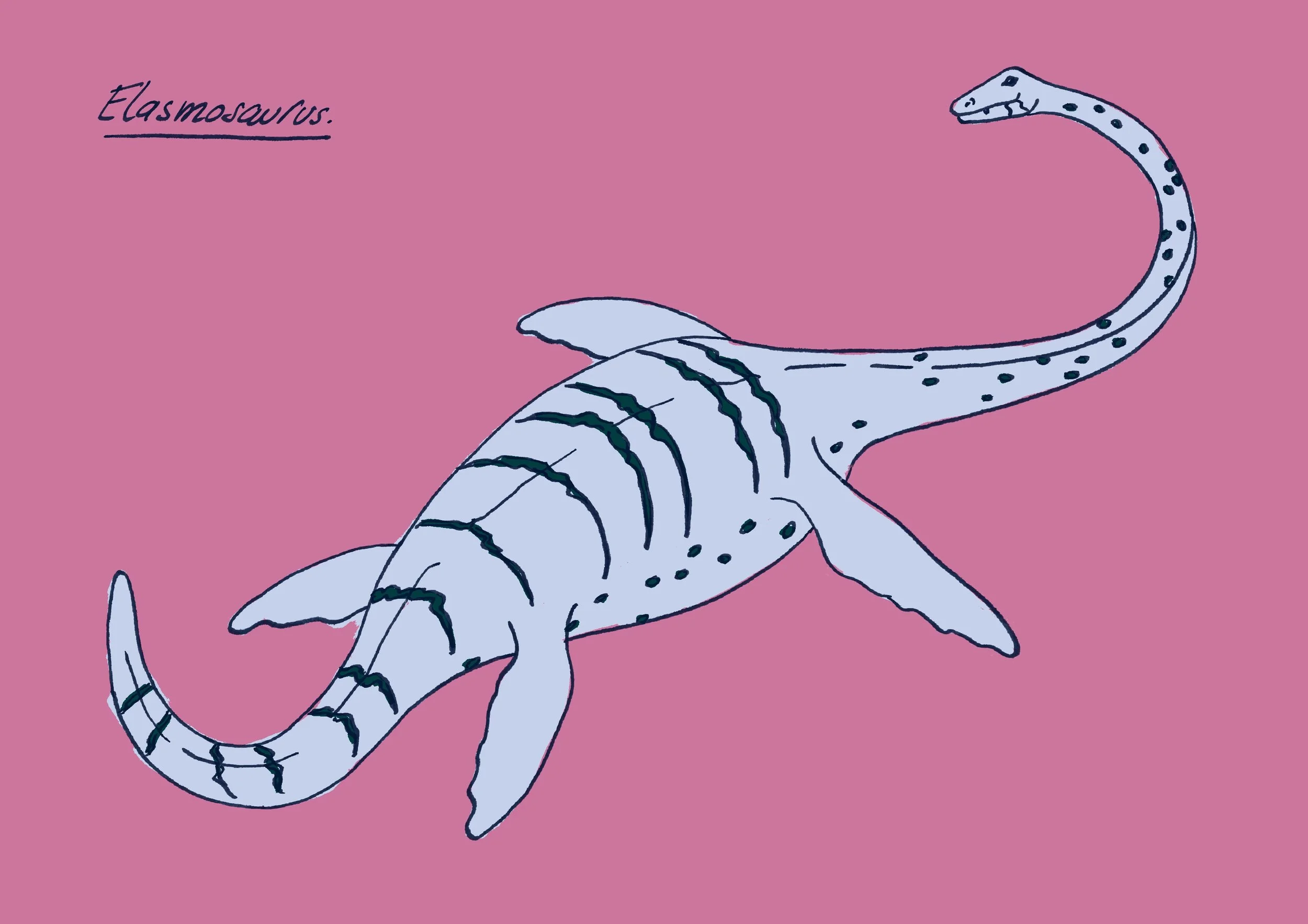 Elasmosaurus-couleurs-A4.jpg