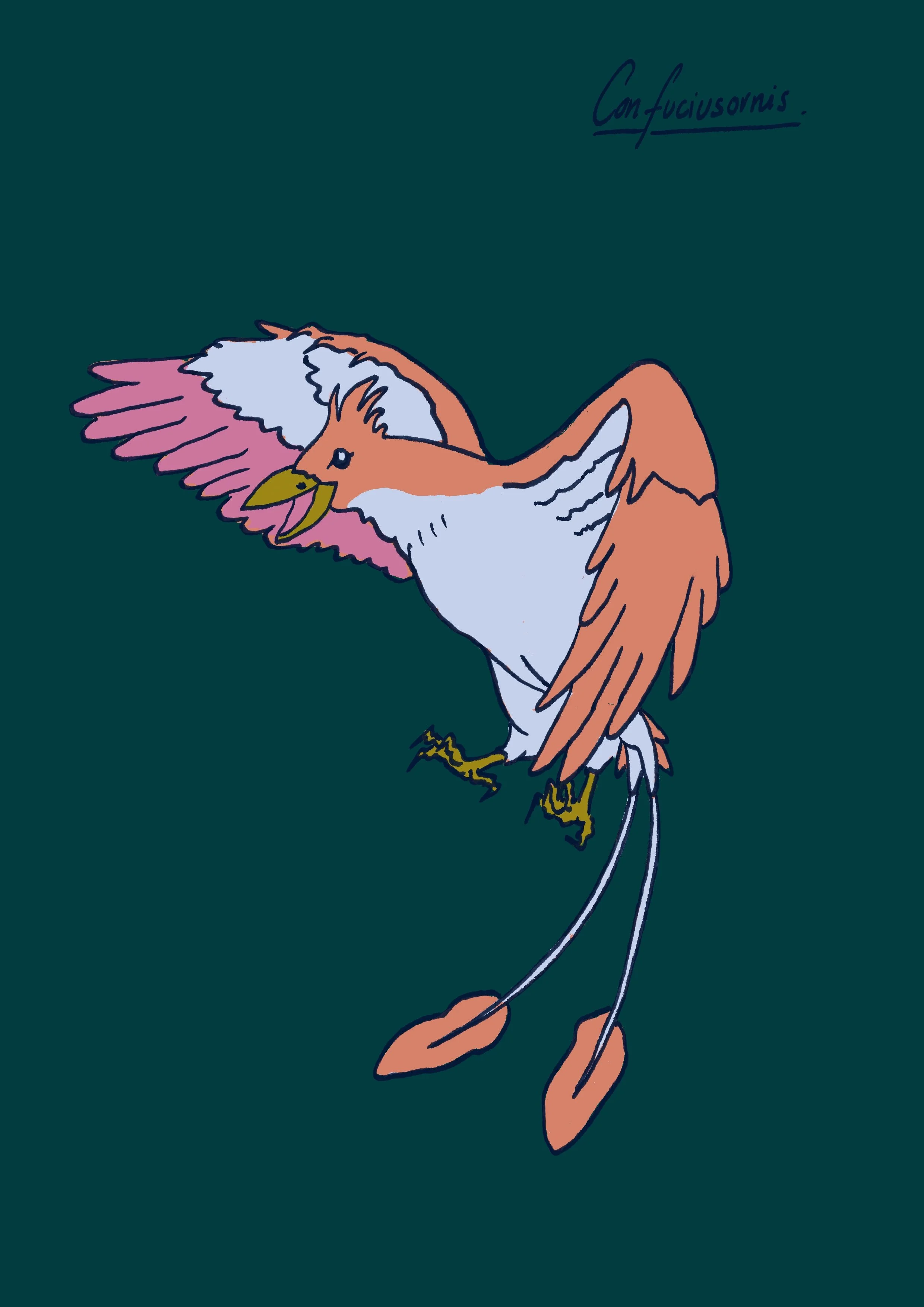 Confuciusornis-couleurs-A4.jpg