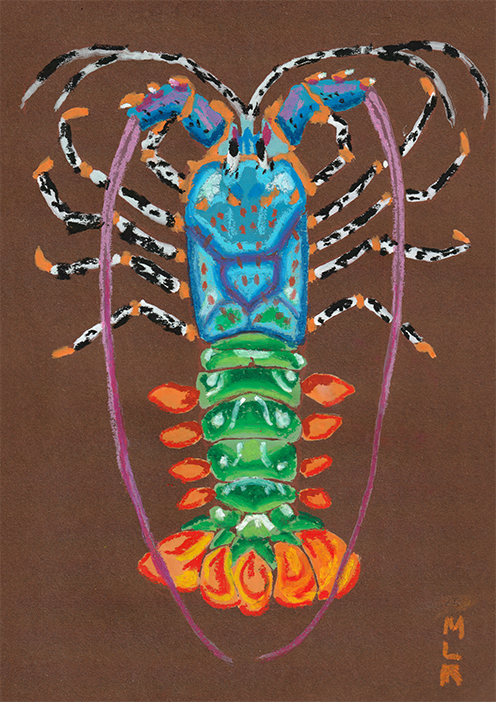 Homard-scanSmall.png