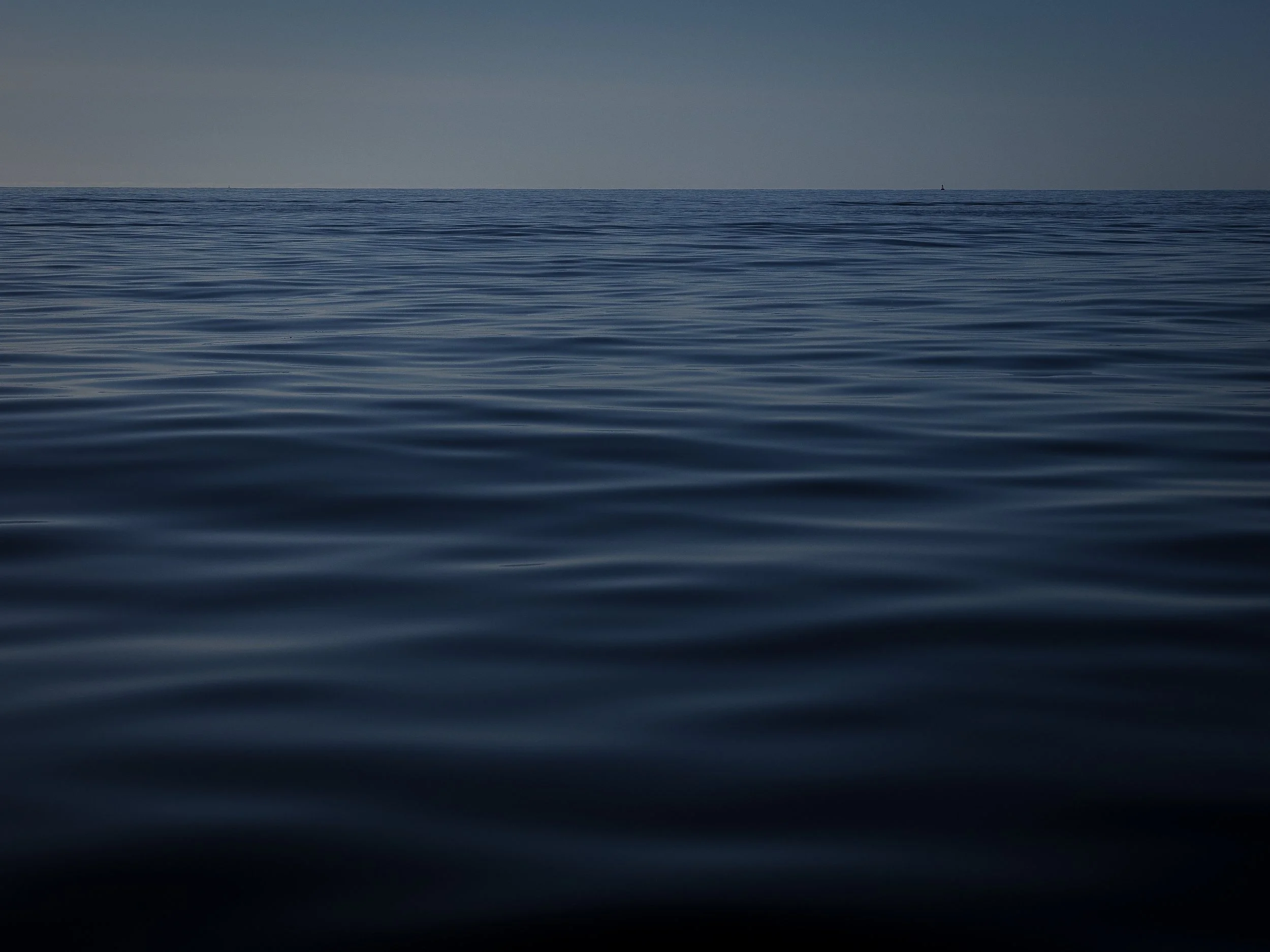 P9160160.jpg