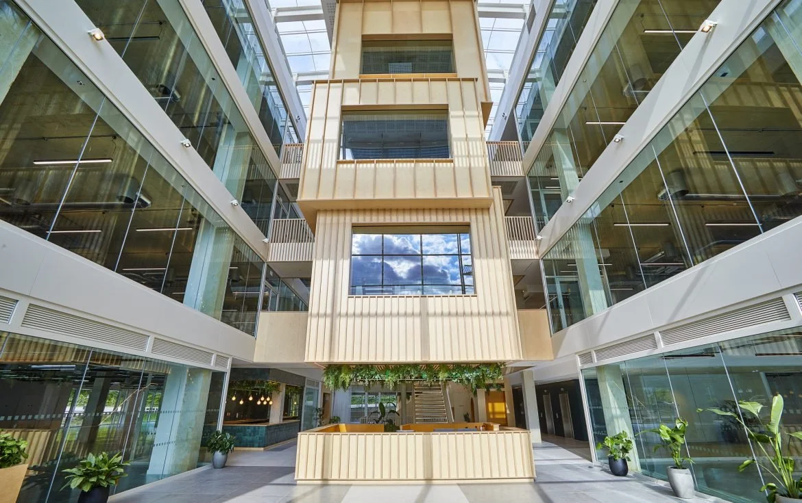 Treehouse-meeting-rooms-inundated-in-natural-light.jpg