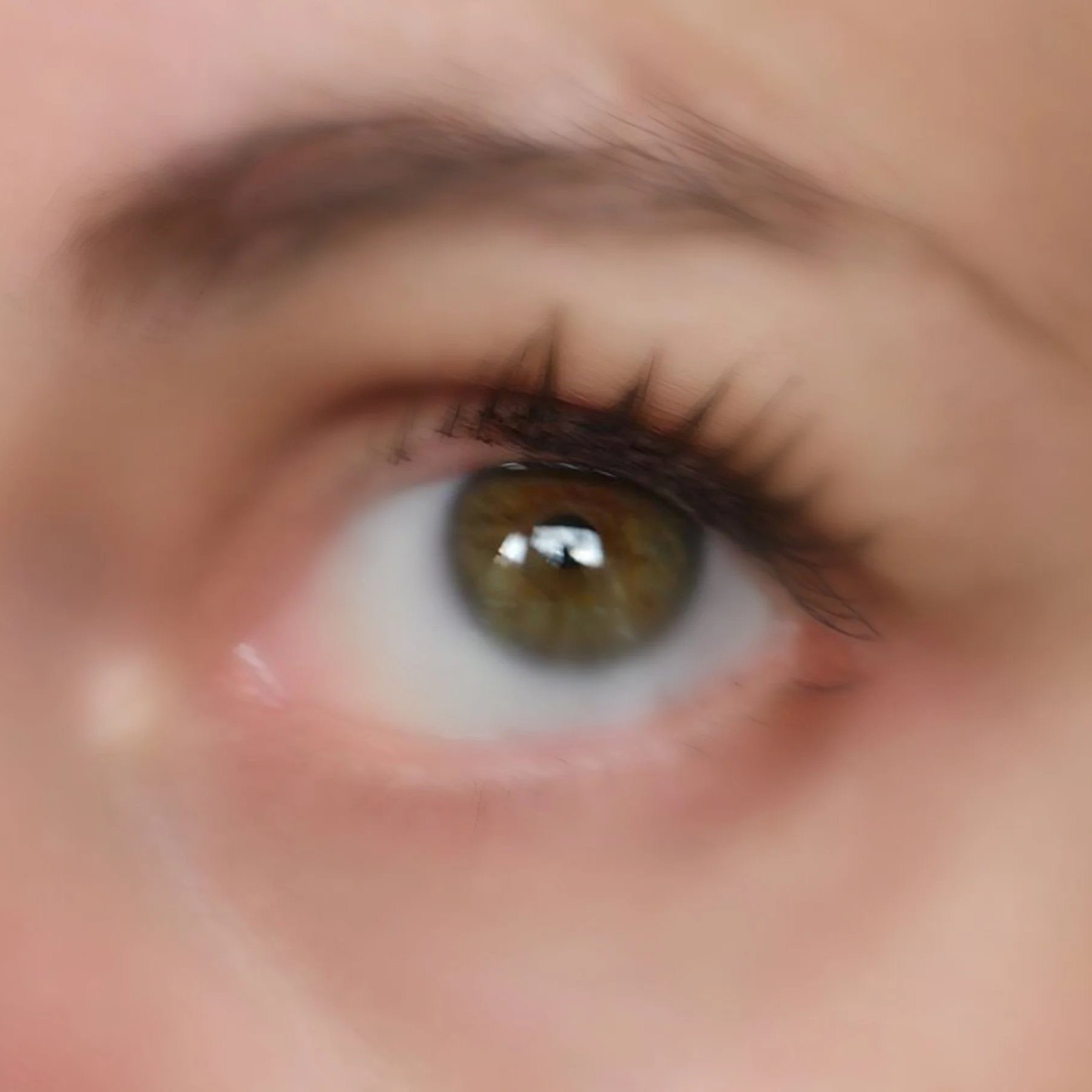 NYK1’s LashForce is  the Secret to Lush, Long Lashes