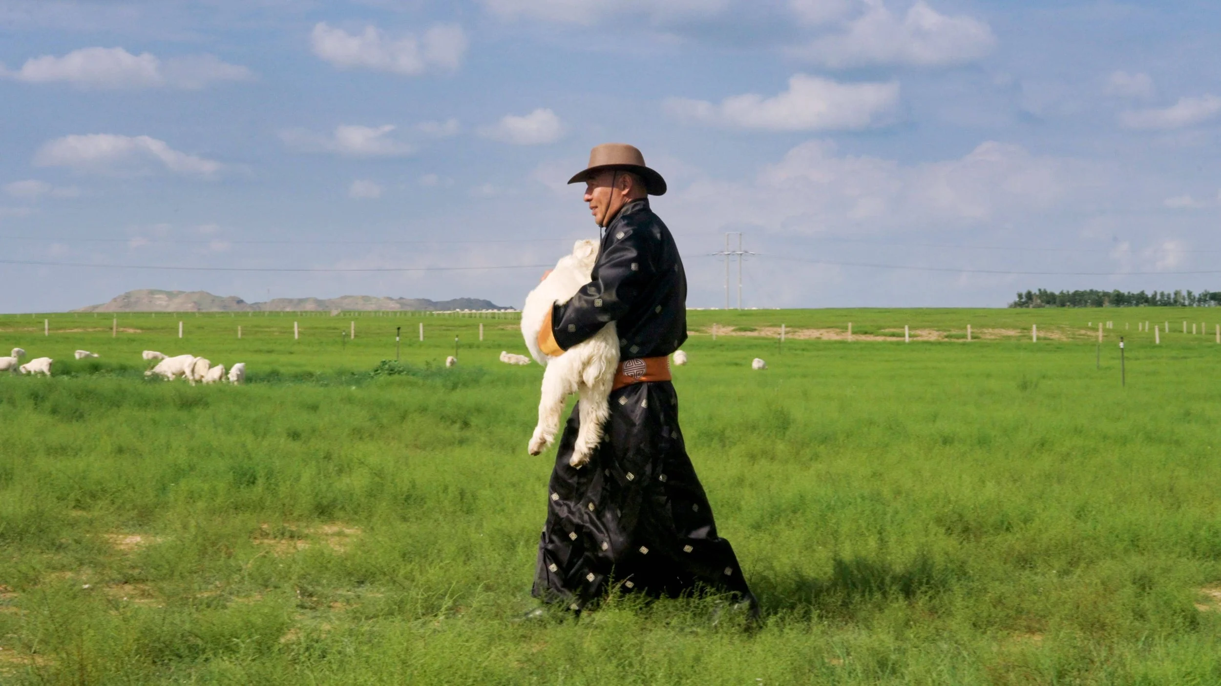 Baker Miller Pink Cashmere