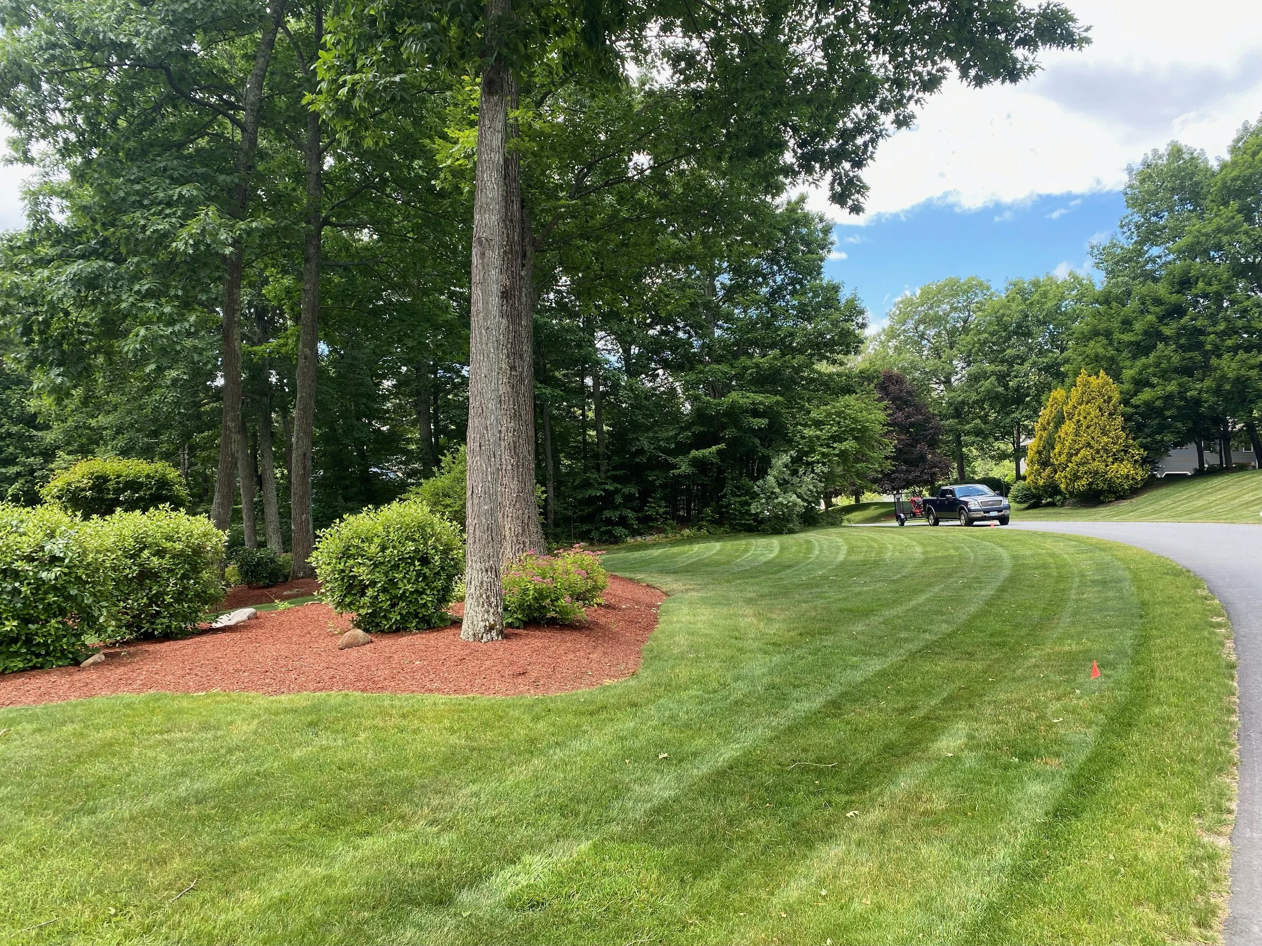 mowed-lawn-1.jpeg