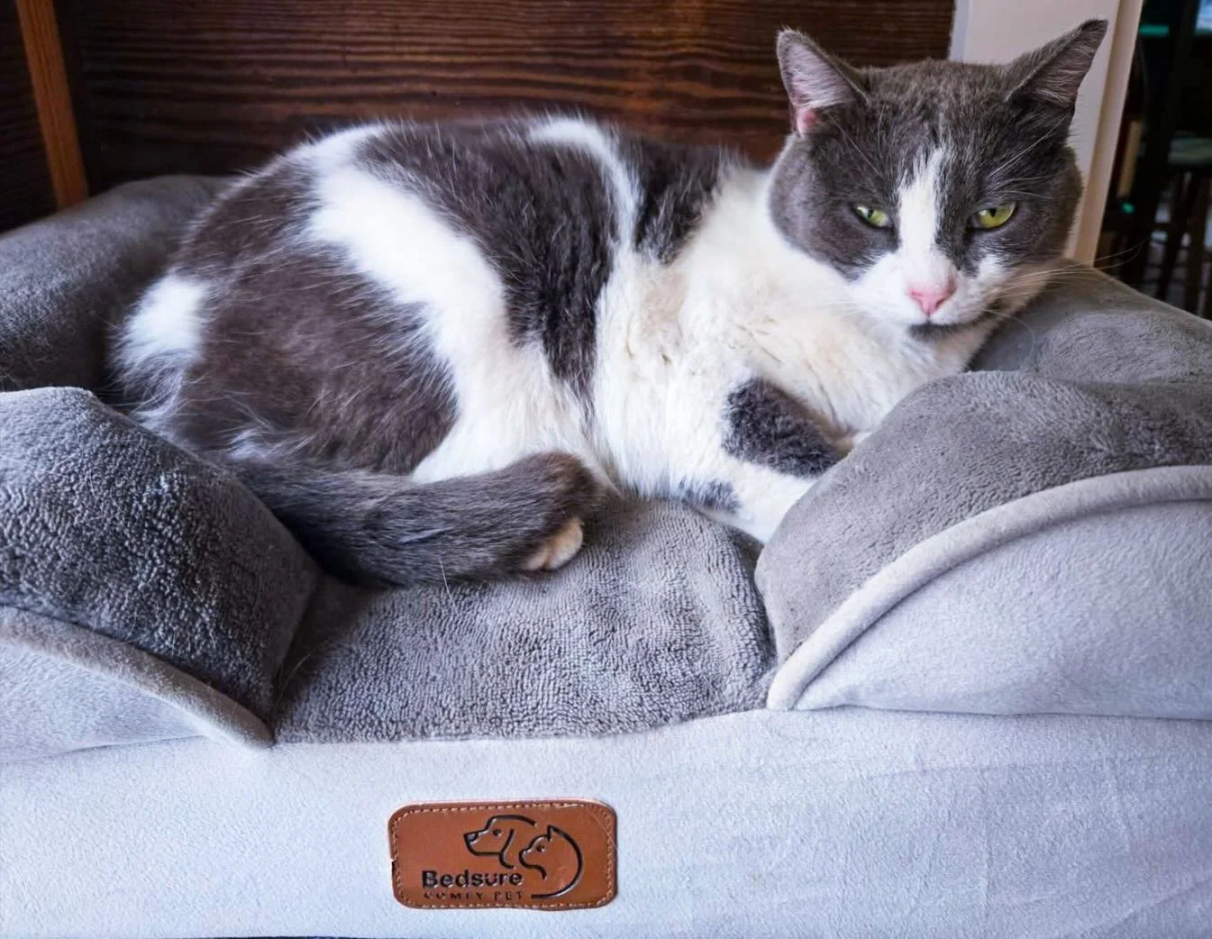 Don&rsquo;t fret: We&rsquo;ve got a plan for CC to take a mini vacation this weekend to ensure her safety. 🐾 
That said, we don&rsquo;t yet know what our official hours will be, but check our stories for an update. CC &amp; her staff are here now so