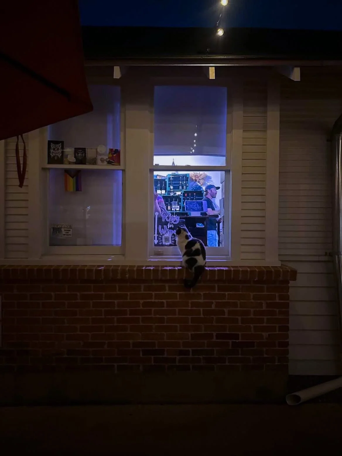 CC at the wine-dow &amp; some moody vibes🐾
Grab a glass this evening &amp; cue the lo-fi music.

📷: @thatplaceindallas | @jyssiegar