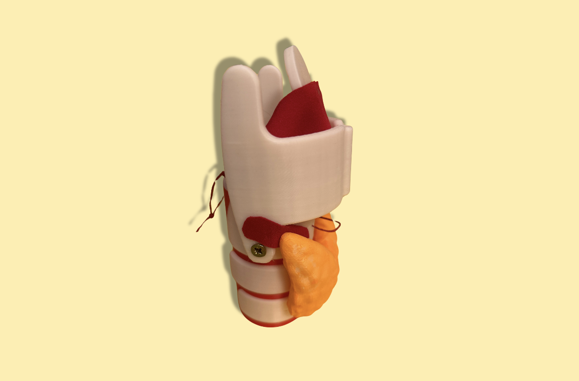 LM thyr profil.png