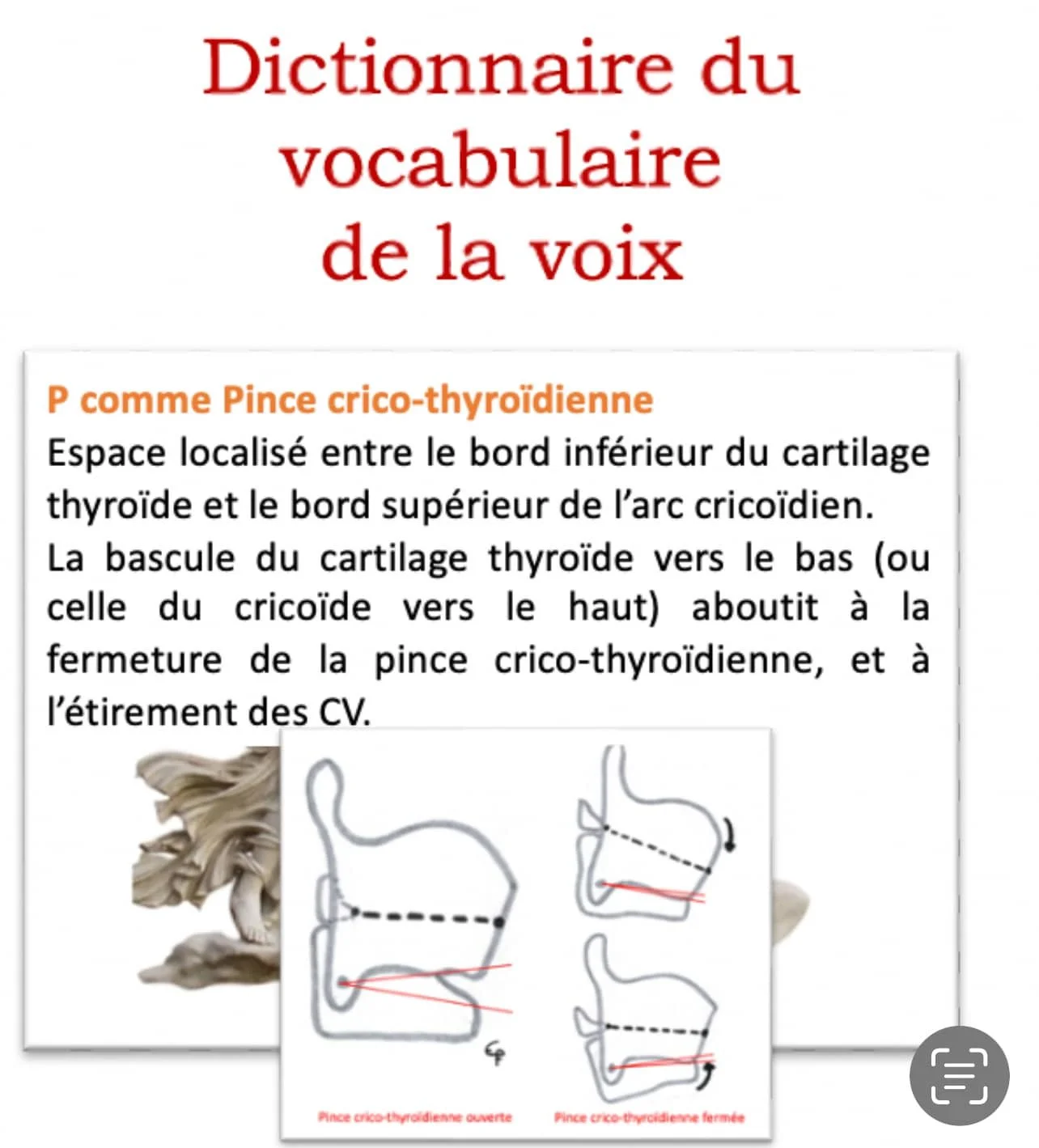 D&eacute;finition du jour&hellip;.
editionsperifontaa.com