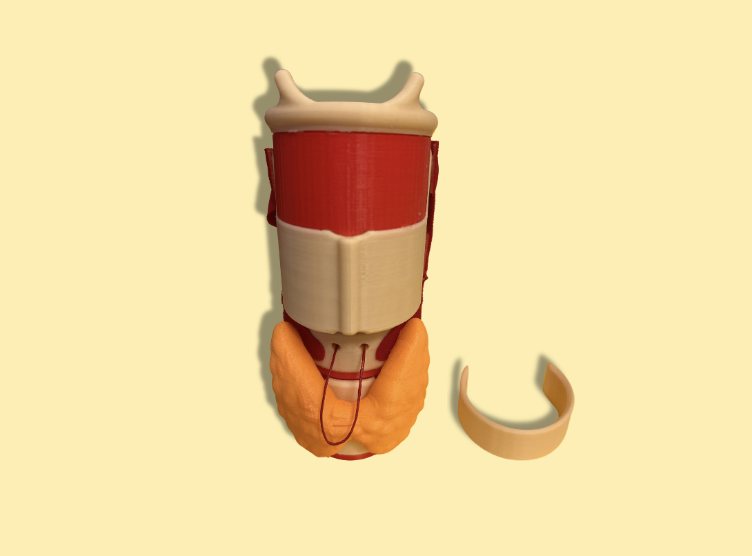 PharyngoLarynx avec glande thyroïde