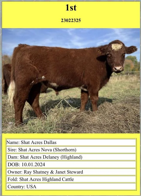 2025 International Highland Virtual Show!