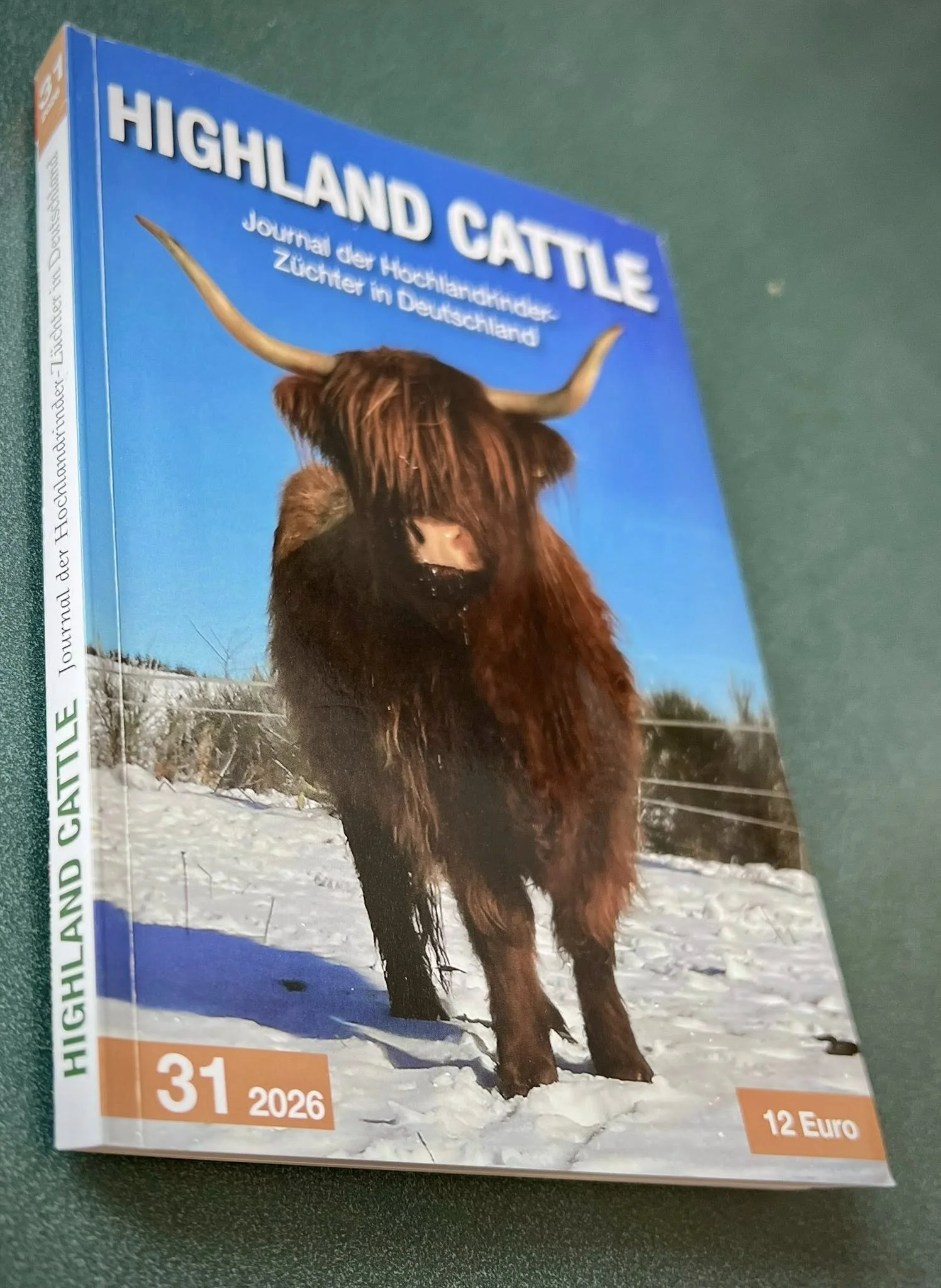 2005, The International Gathering of Highland Cattle
