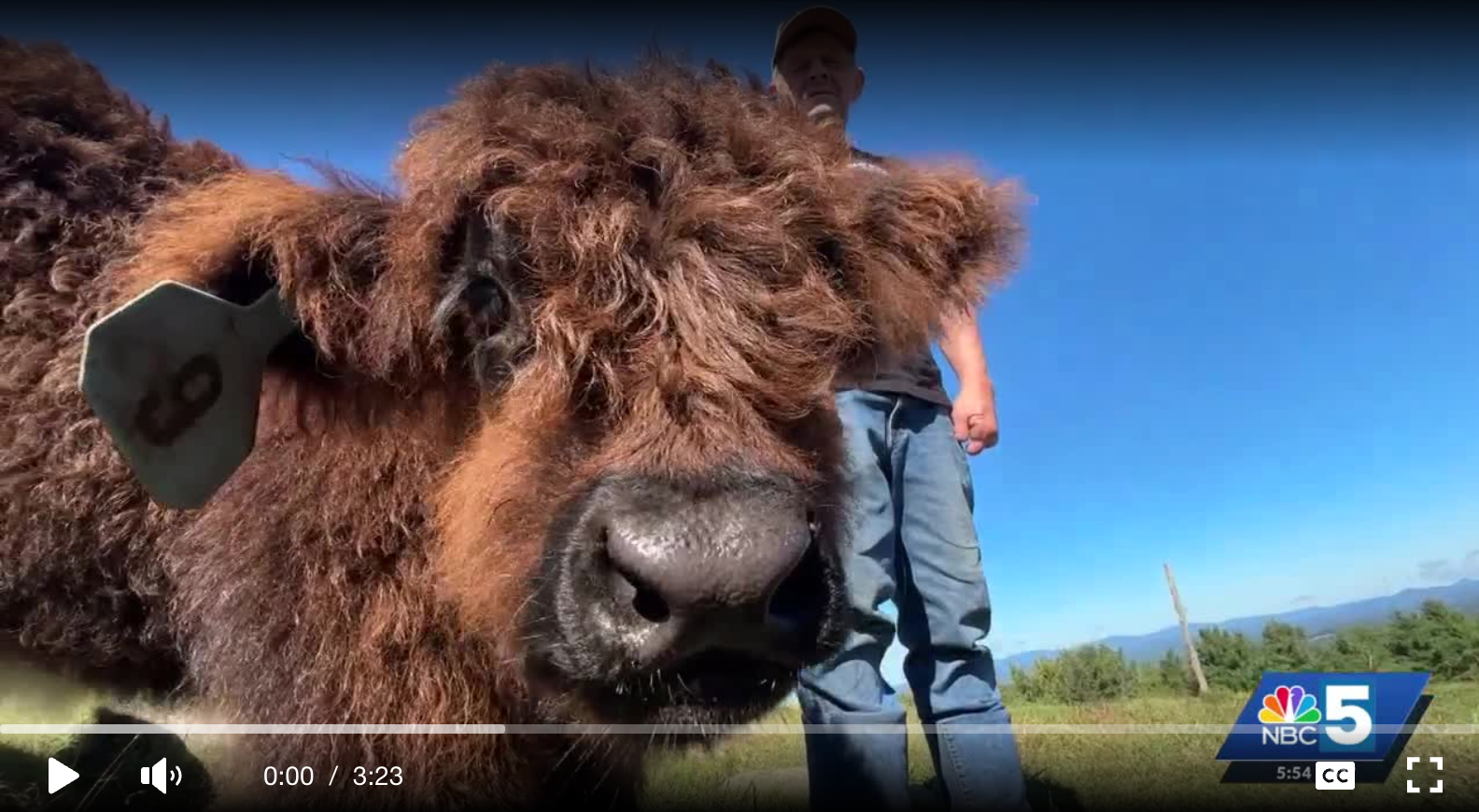 MOO-VIE STARS!