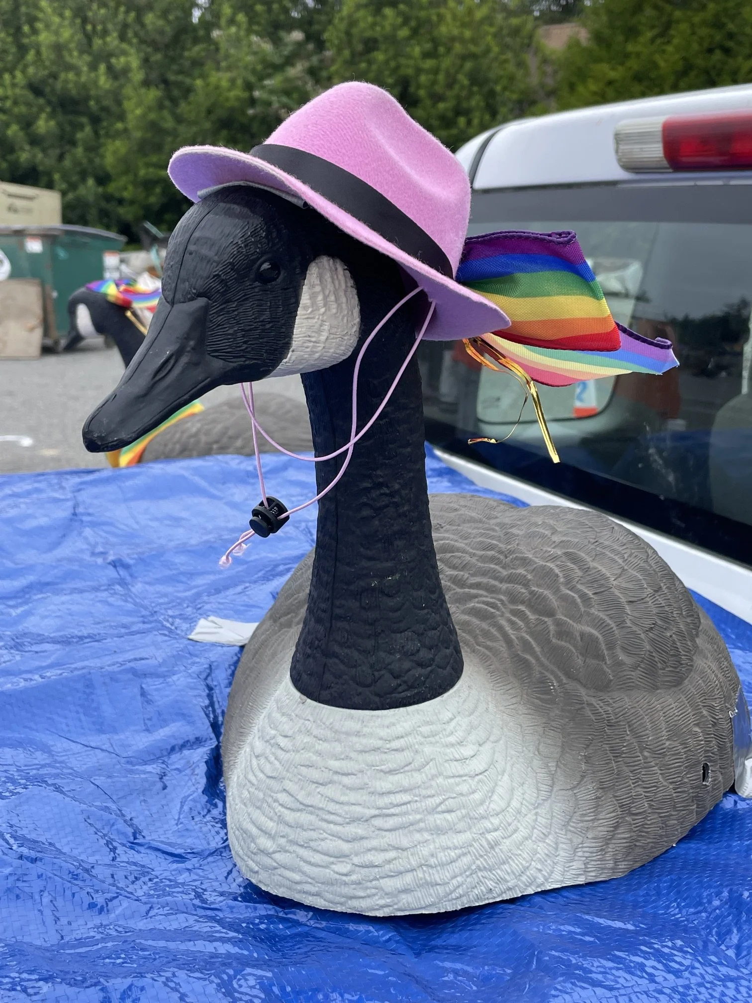 IMG_3516.jpeg