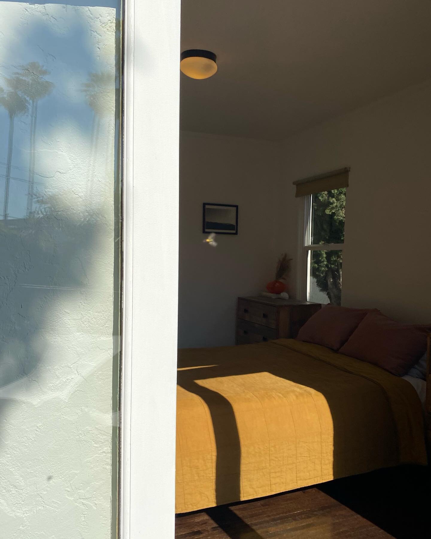 This light is so LA. Catch the Palms reflection in the window. Dreamy.

#realestate #losangeles #losangelesrealestateagent #realestateagent #realestateinvesting #realtorlife #realestatetips #realestateexpert #Realestatebroker #realestatepro #realesta