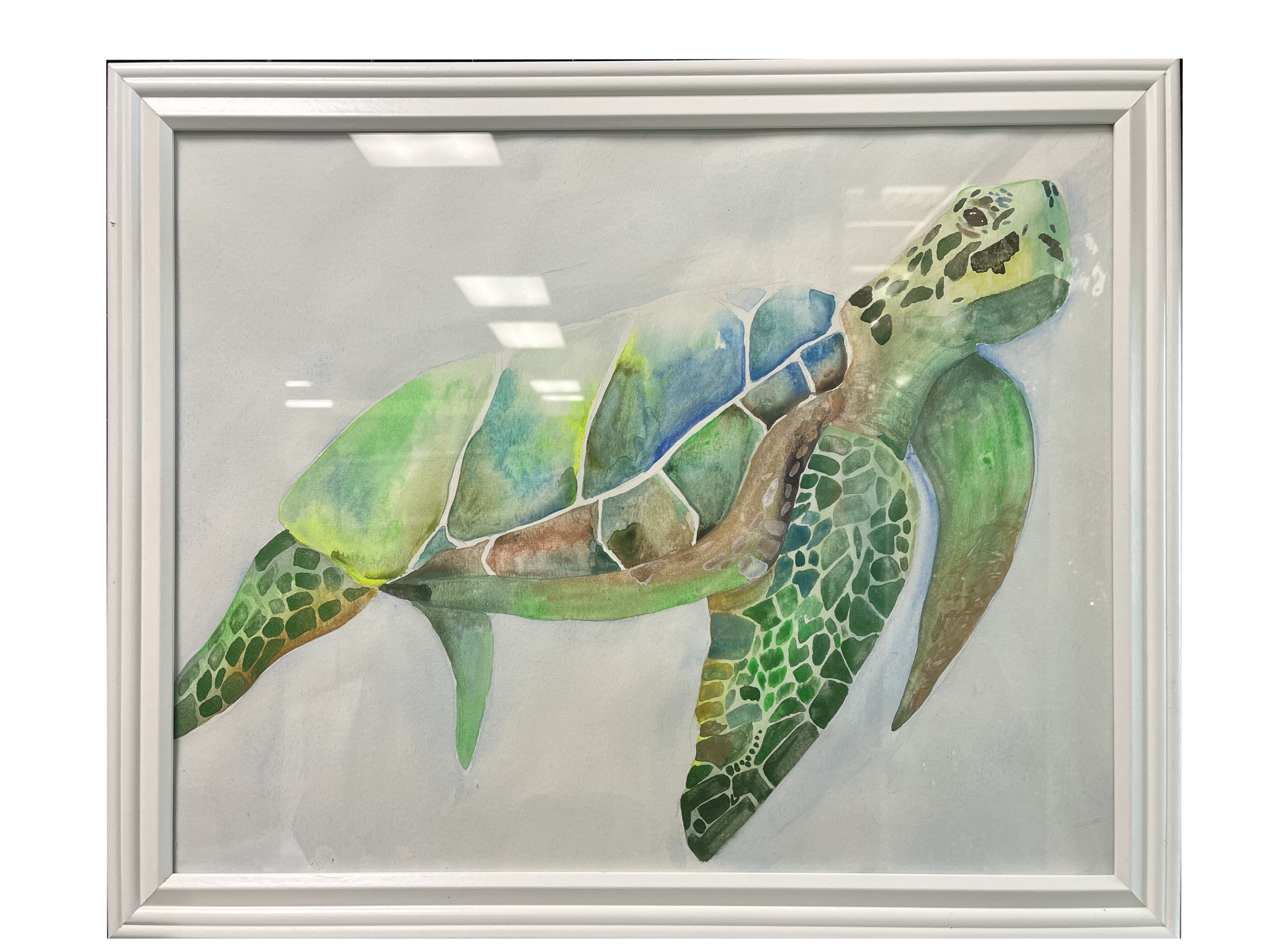 turtlesimple.png