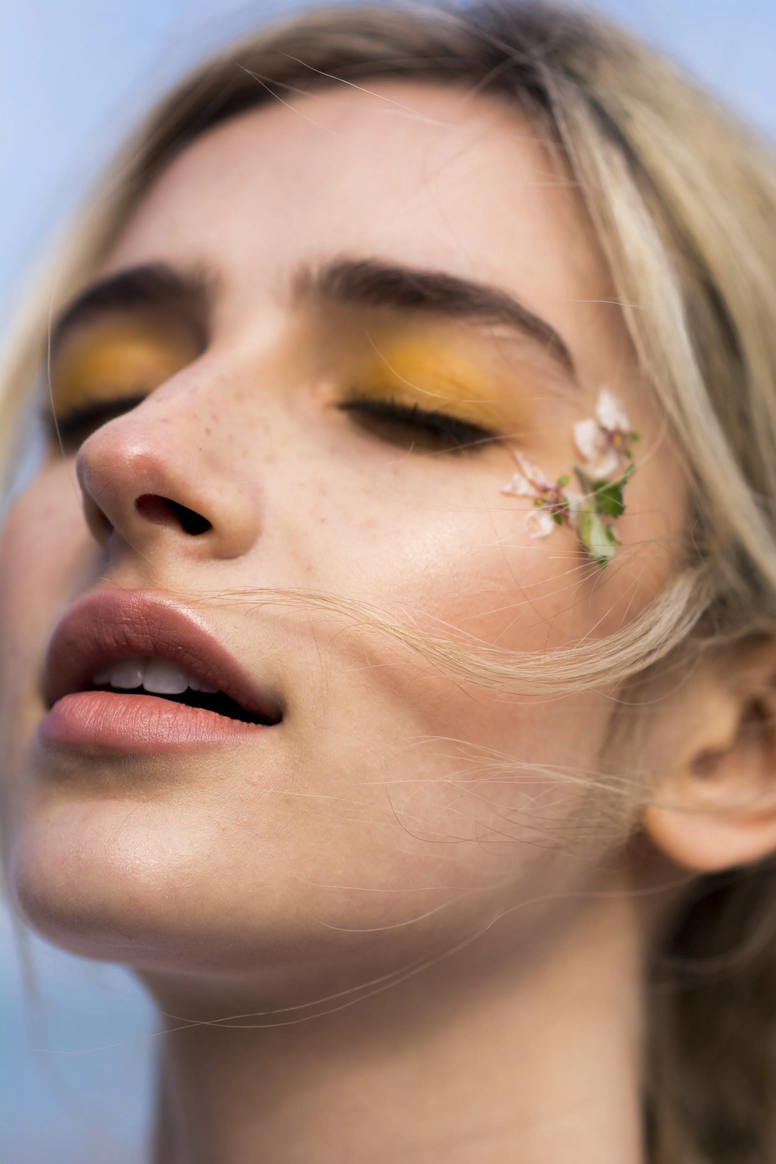 Pretty Thoughts 8-13.jpg