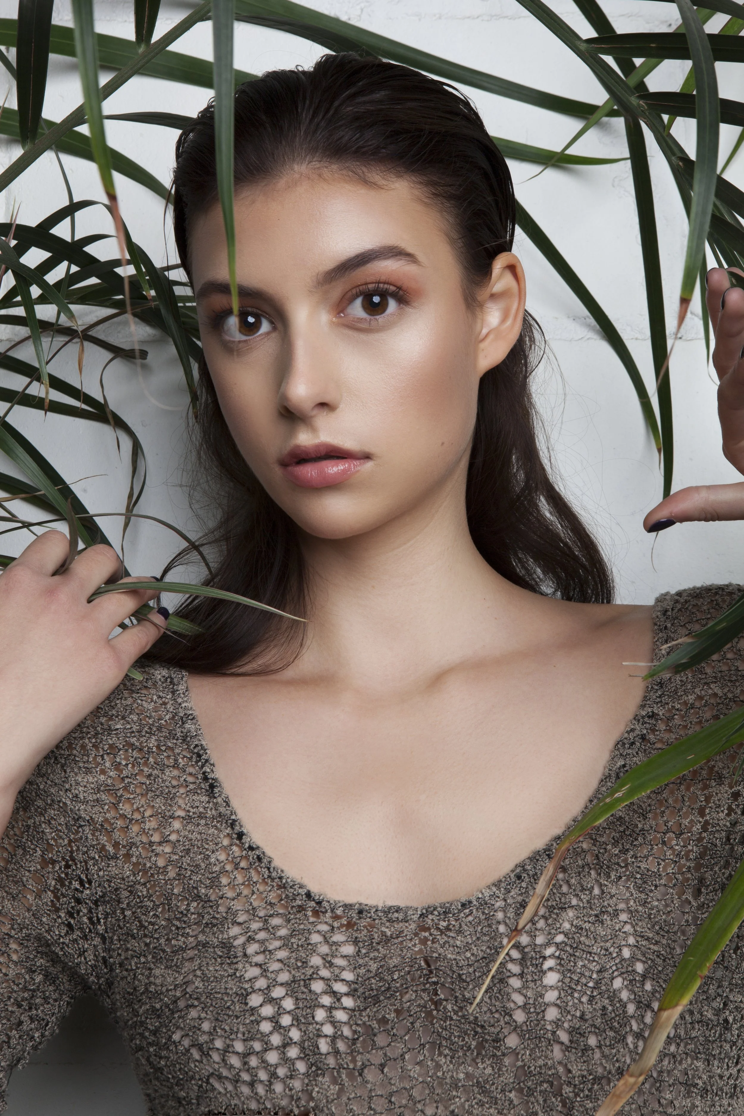 Celestial and Terrestrial 3-13.jpg