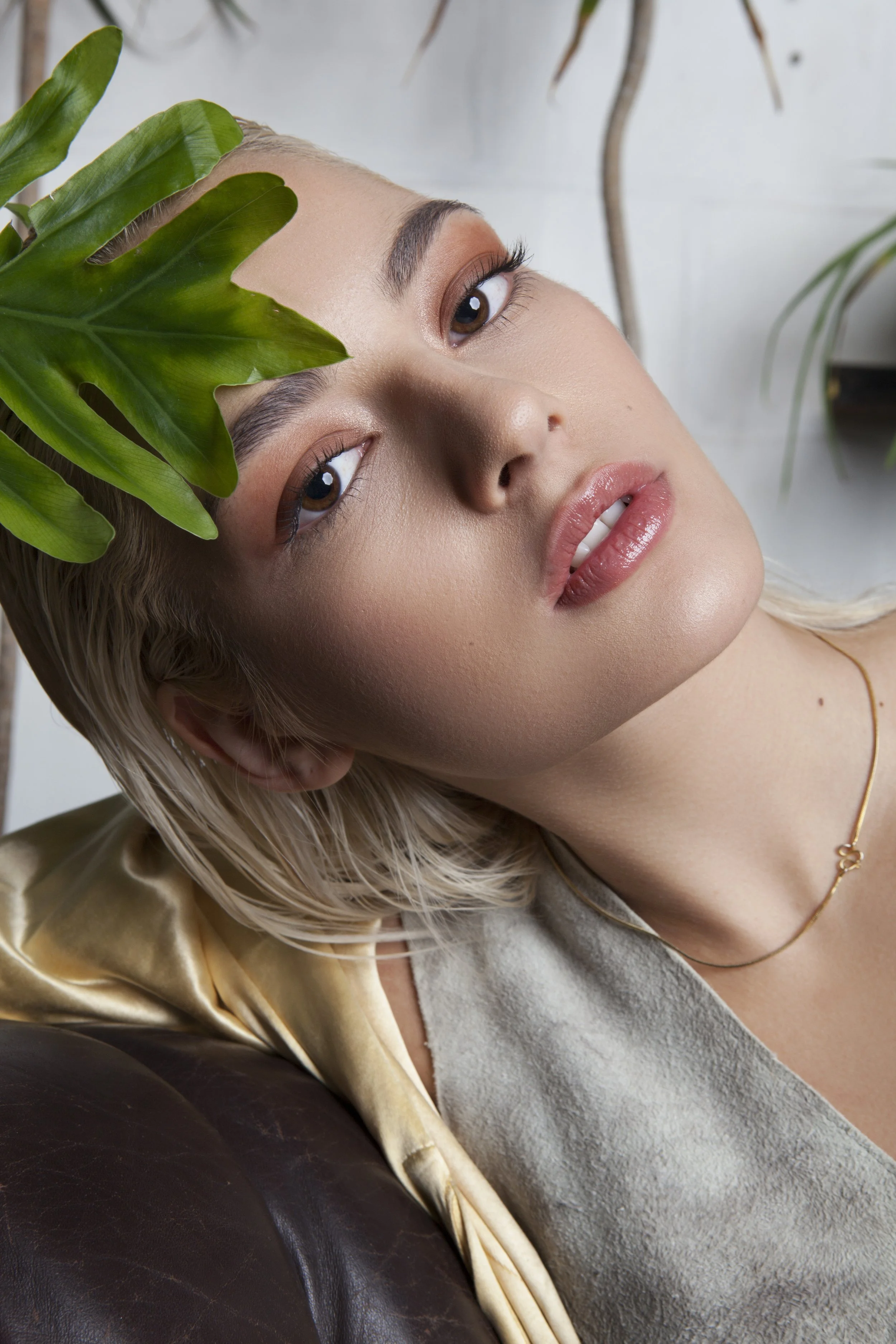 Celestial and Terrestrial 6-13.jpg