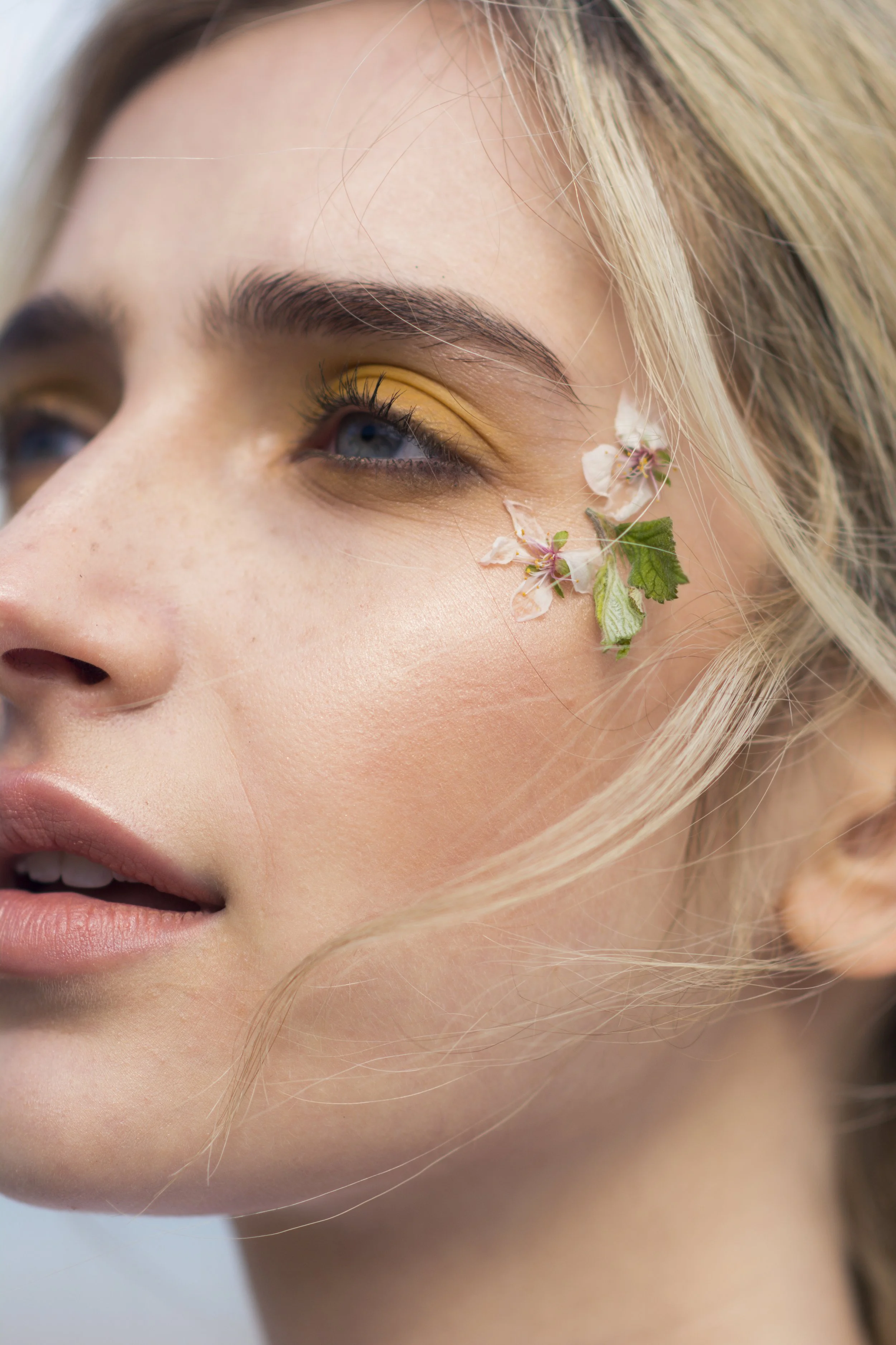 Pretty Thoughts 2-13.jpg