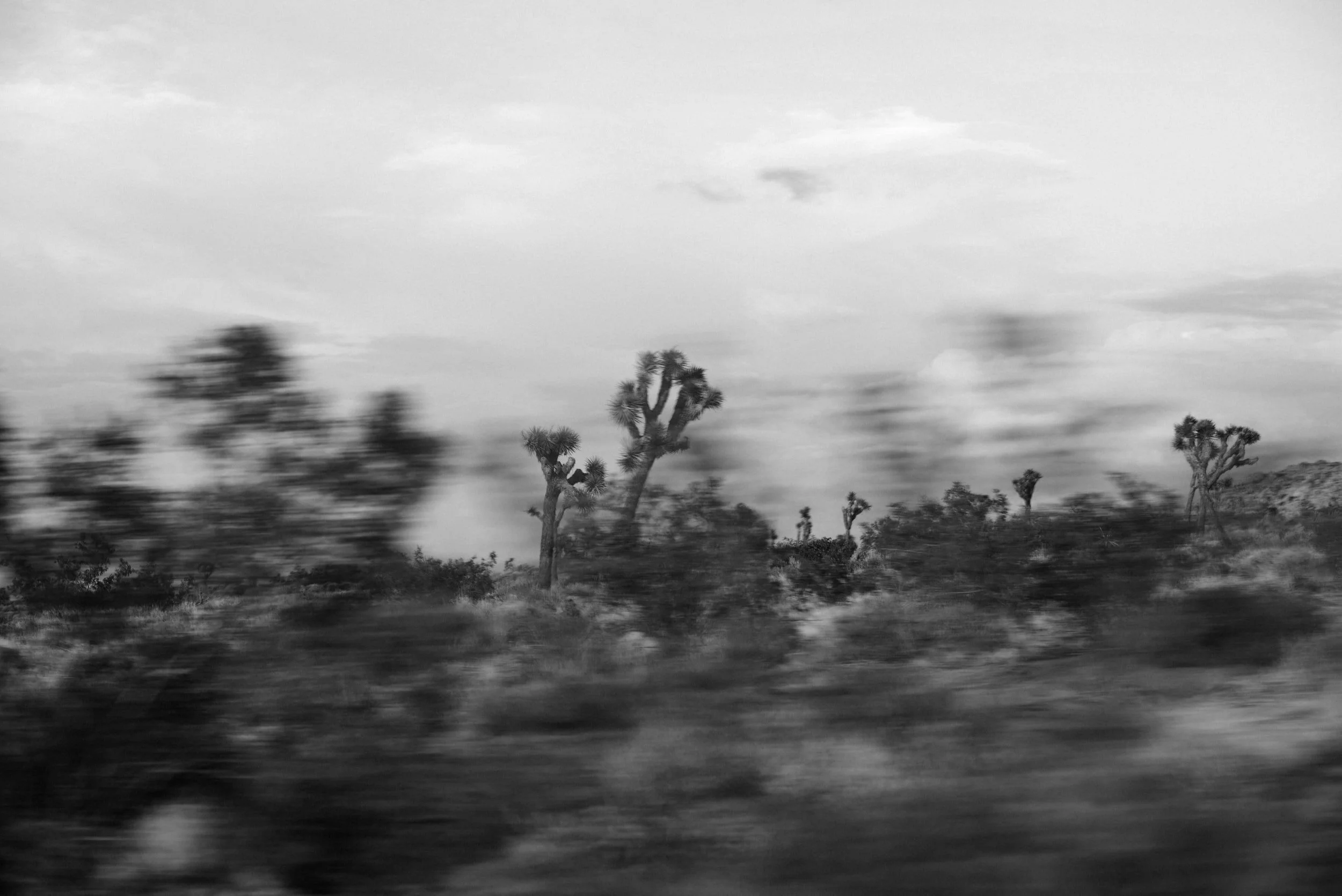 Day 5: Comic cartoonist