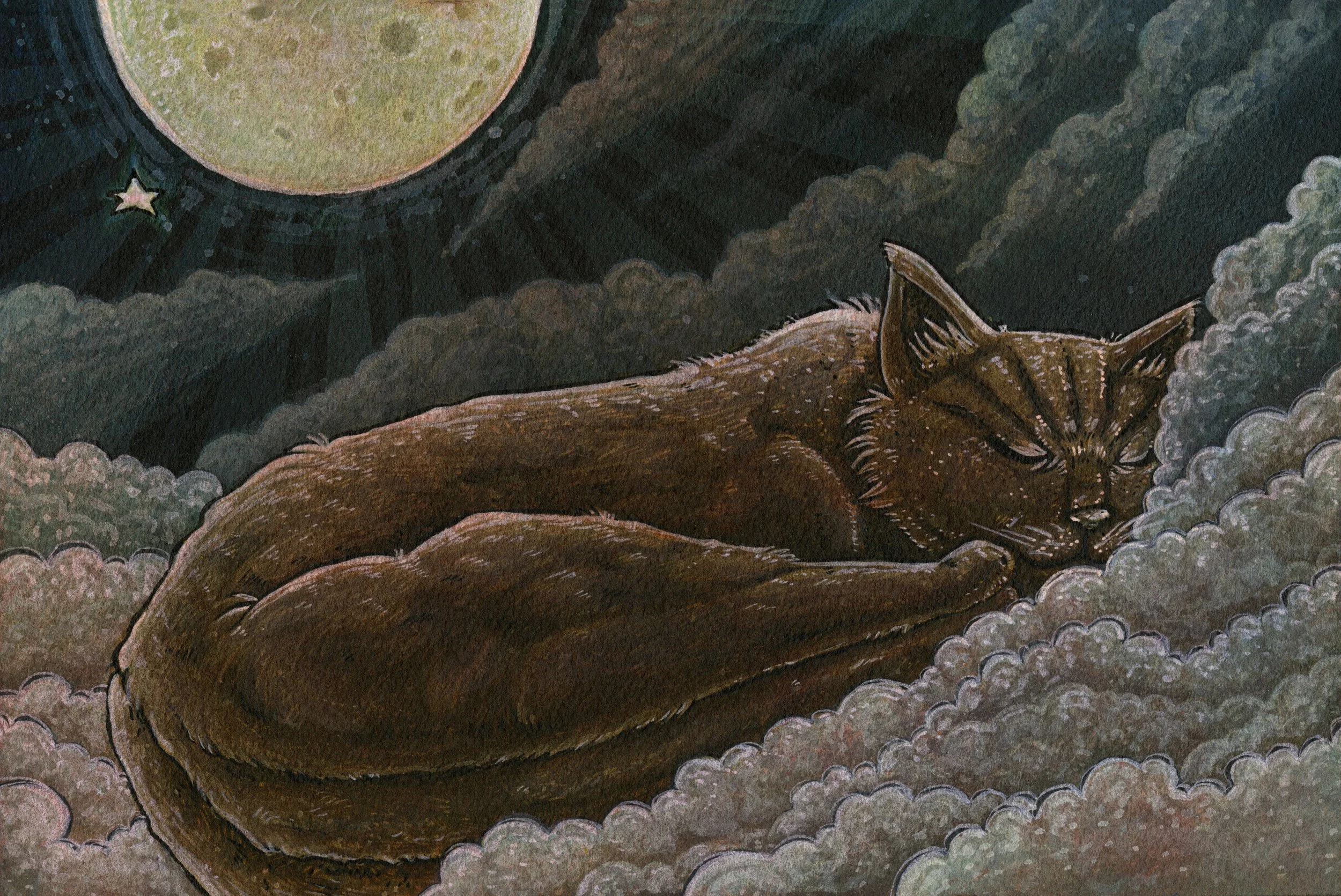 moonlightcatnap.jpg