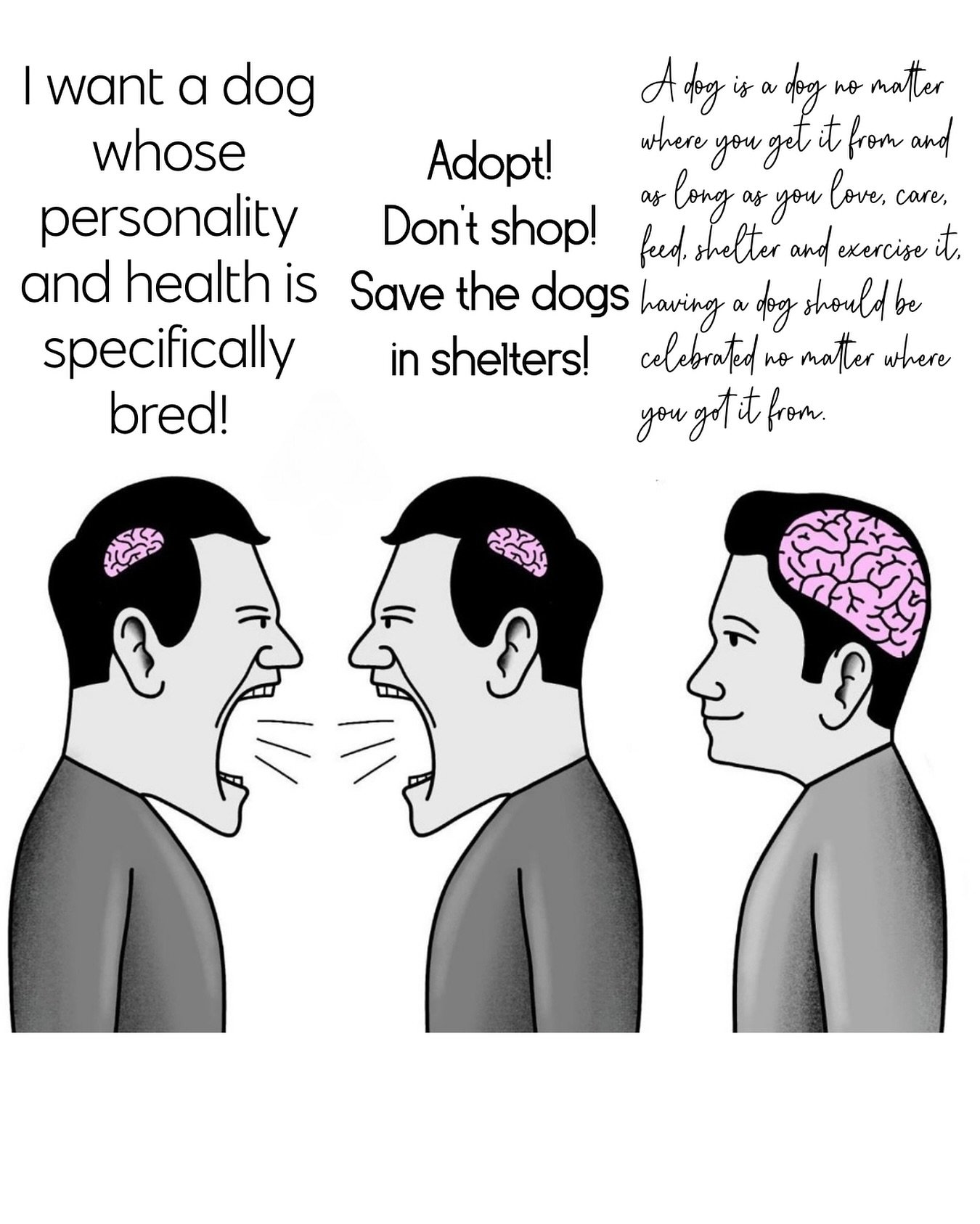 I applaud people who adopt from shelters! I do! But it&rsquo;s also ok to know what breed you want and traits you&rsquo;re looking for and to go to a breeder. Going to a breeder means less dogs may go to shelters&hellip; but at the end of the day??? 