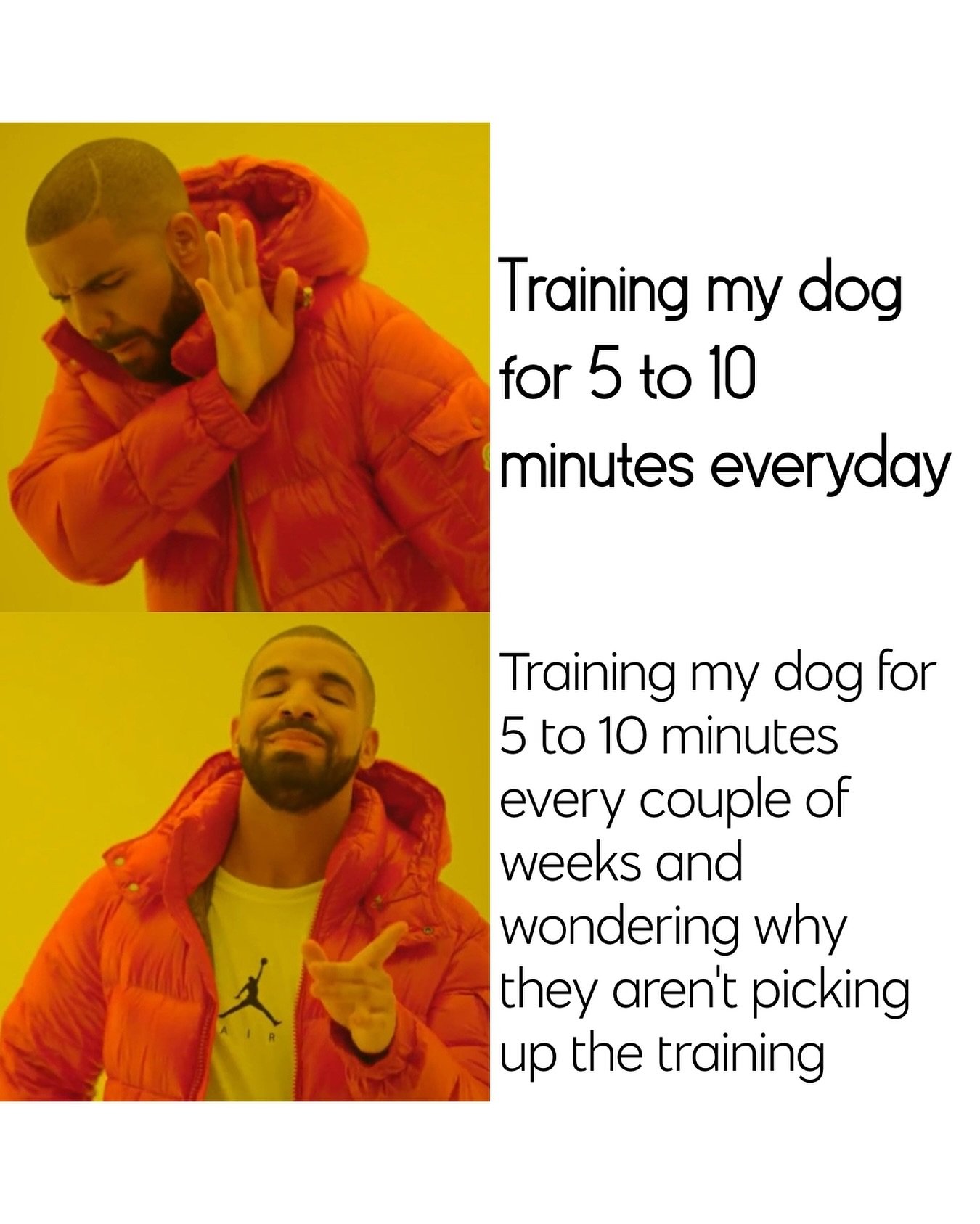 I&rsquo;ve been training petal to do &ldquo;yoga&rdquo; (downward dog) for about 2 and a half years now 🤣 we do a 5 minute session once every couple of months and it&rsquo;s just beyond me why she hasn&rsquo;t picked it up yet 😅😅😅😅🤣🤣🤦🏼&zwj;♀