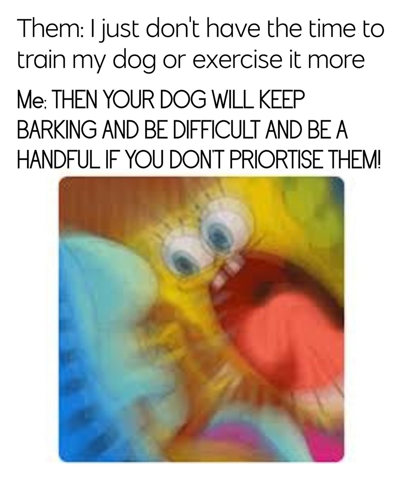 I&rsquo;m a dog walker so I can help with the exercise part 💁🏼&zwj;♀️ but sometimes you gotta put the time in!
I&rsquo;m guilty of it to&hellip; Petal is more barky then I would like when I take her out toilet at night. Do I know how to fix it? Yes