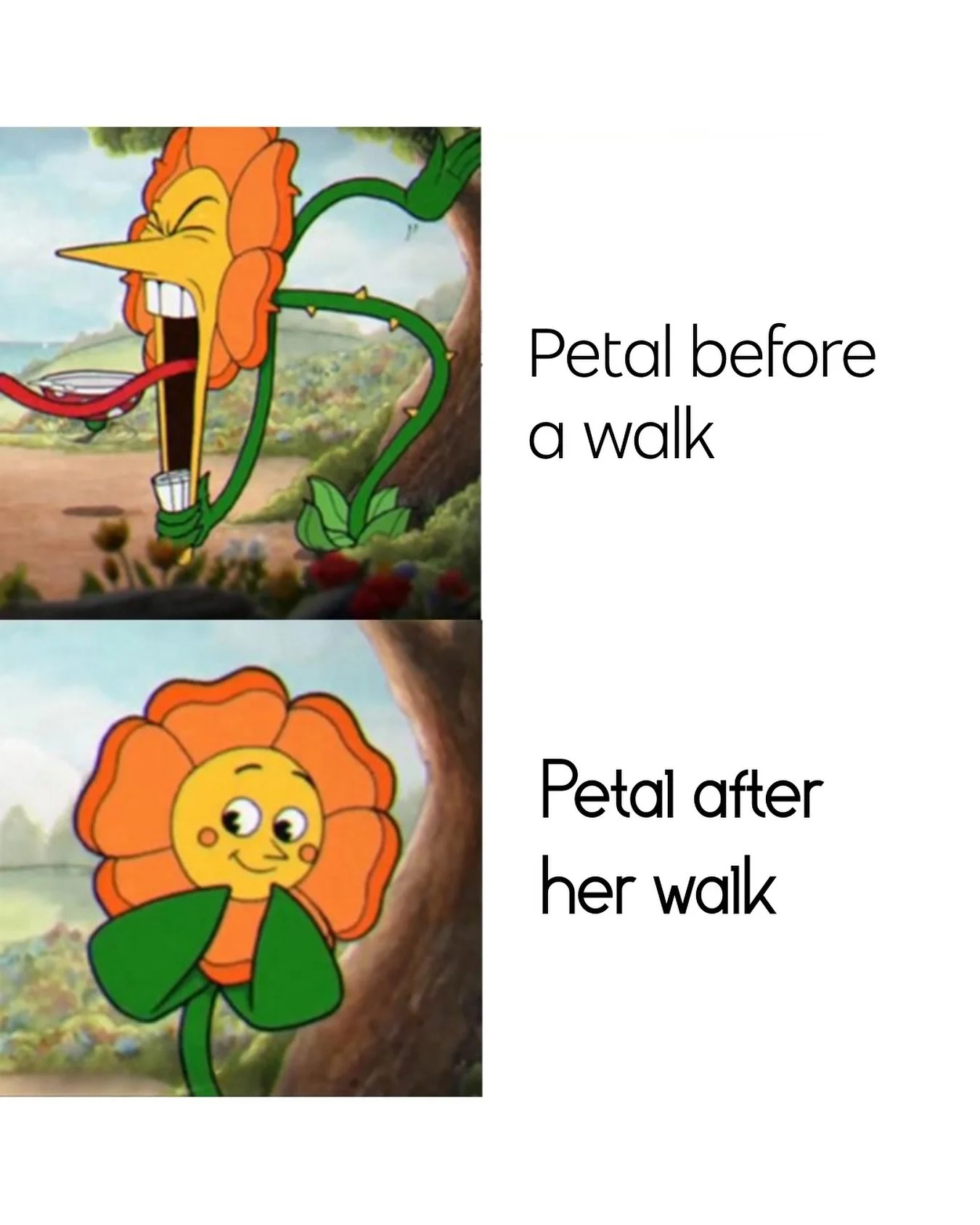 A walk is not the only way to tire out your dog. It&rsquo;s not even necessarily the best way and every dog has there own specific needs but for Petal&hellip; she is a completely different dog before and after her walk 😂