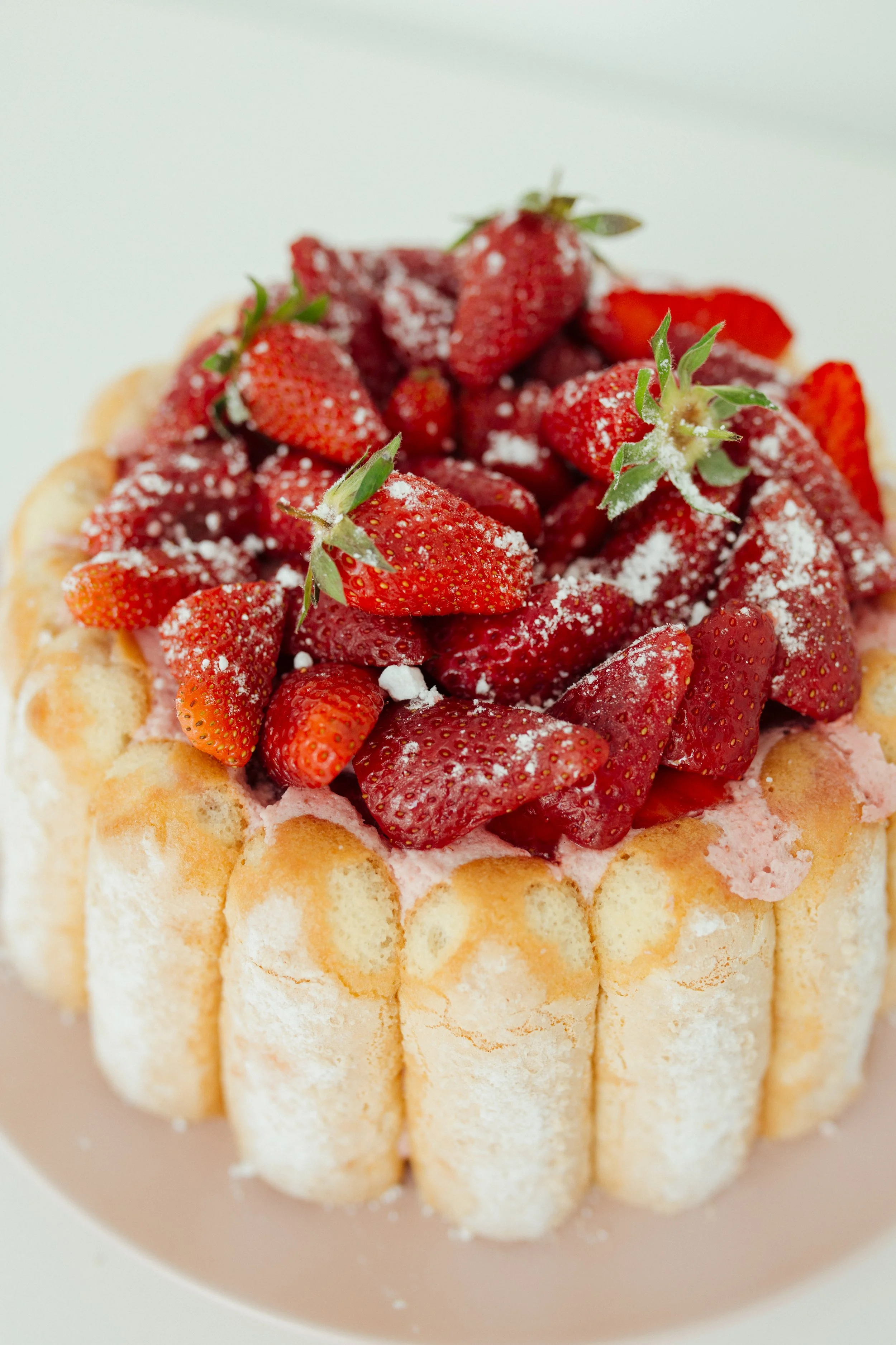 Charlotte au fraises