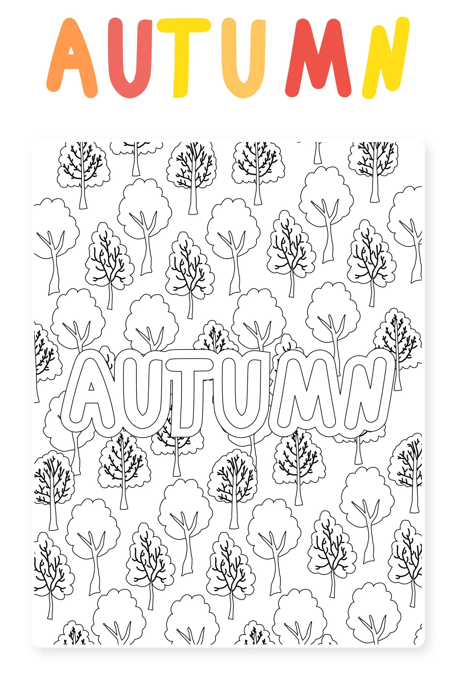 southerly-fall-shop-cover-1600x2400.jpg