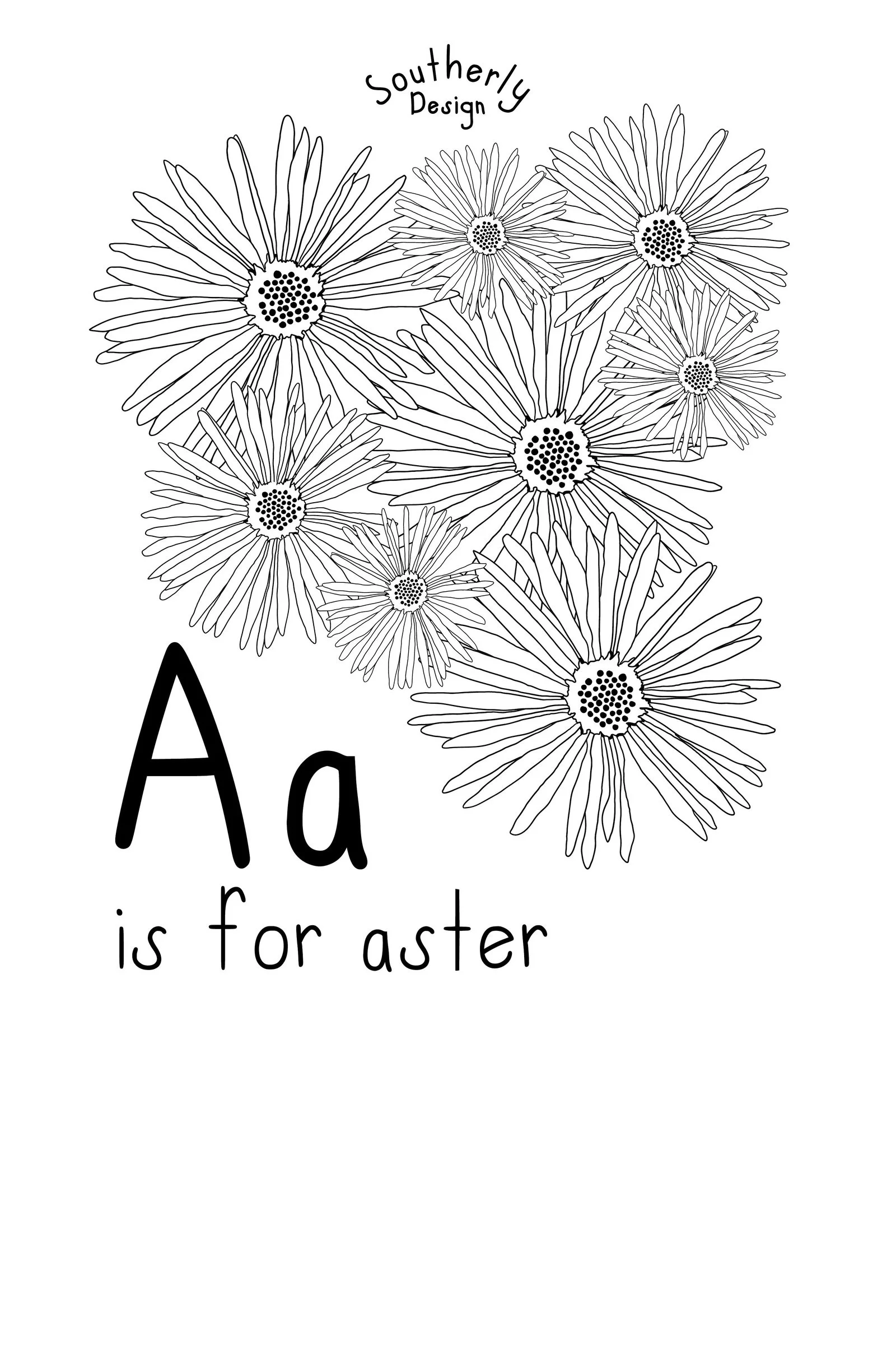 southerly-aster-line-2x3.jpg