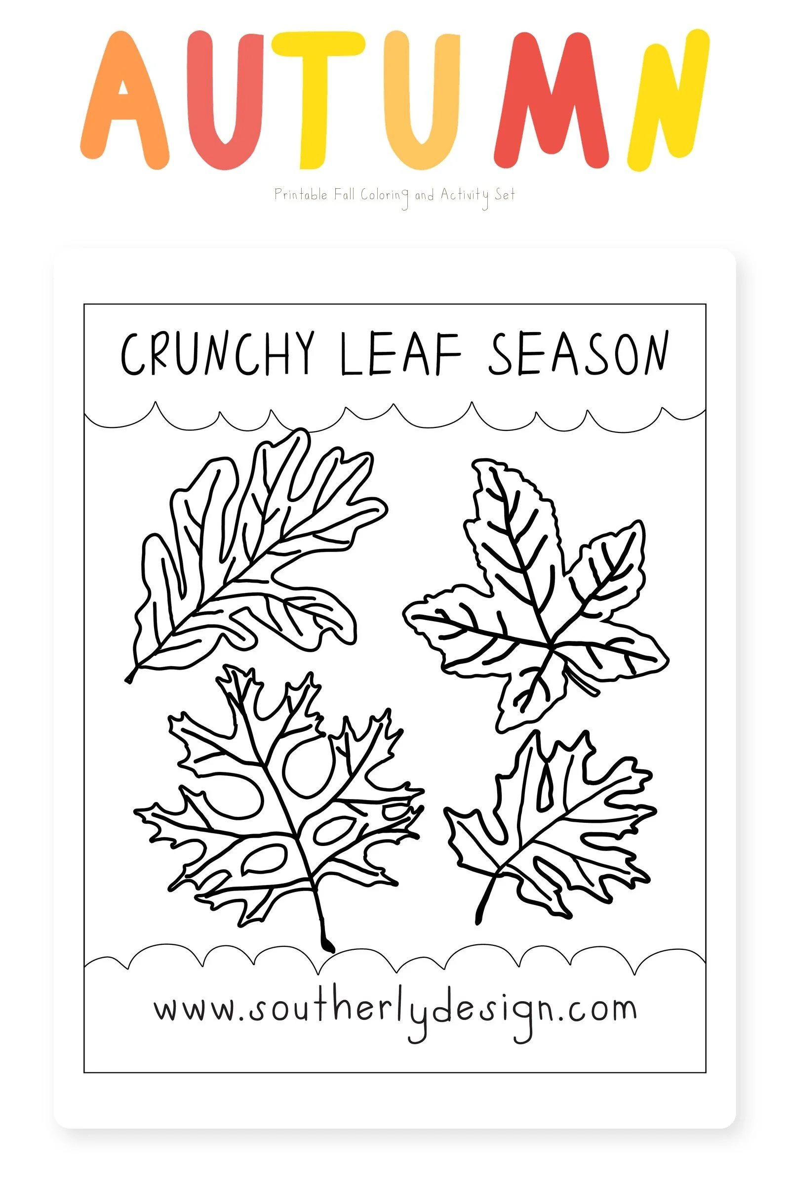 southerly-fall-shop-crunchy-1600x2400.jpg