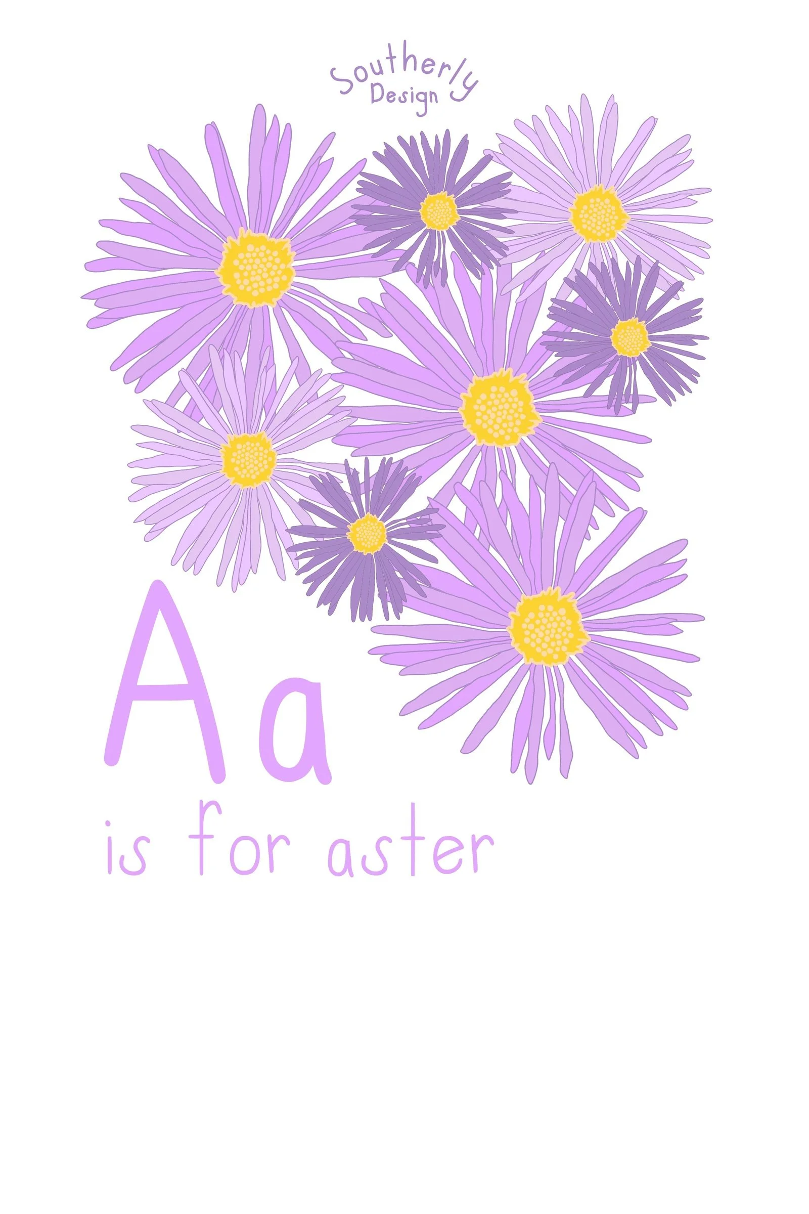 southerly-aster-color-2x3.jpg