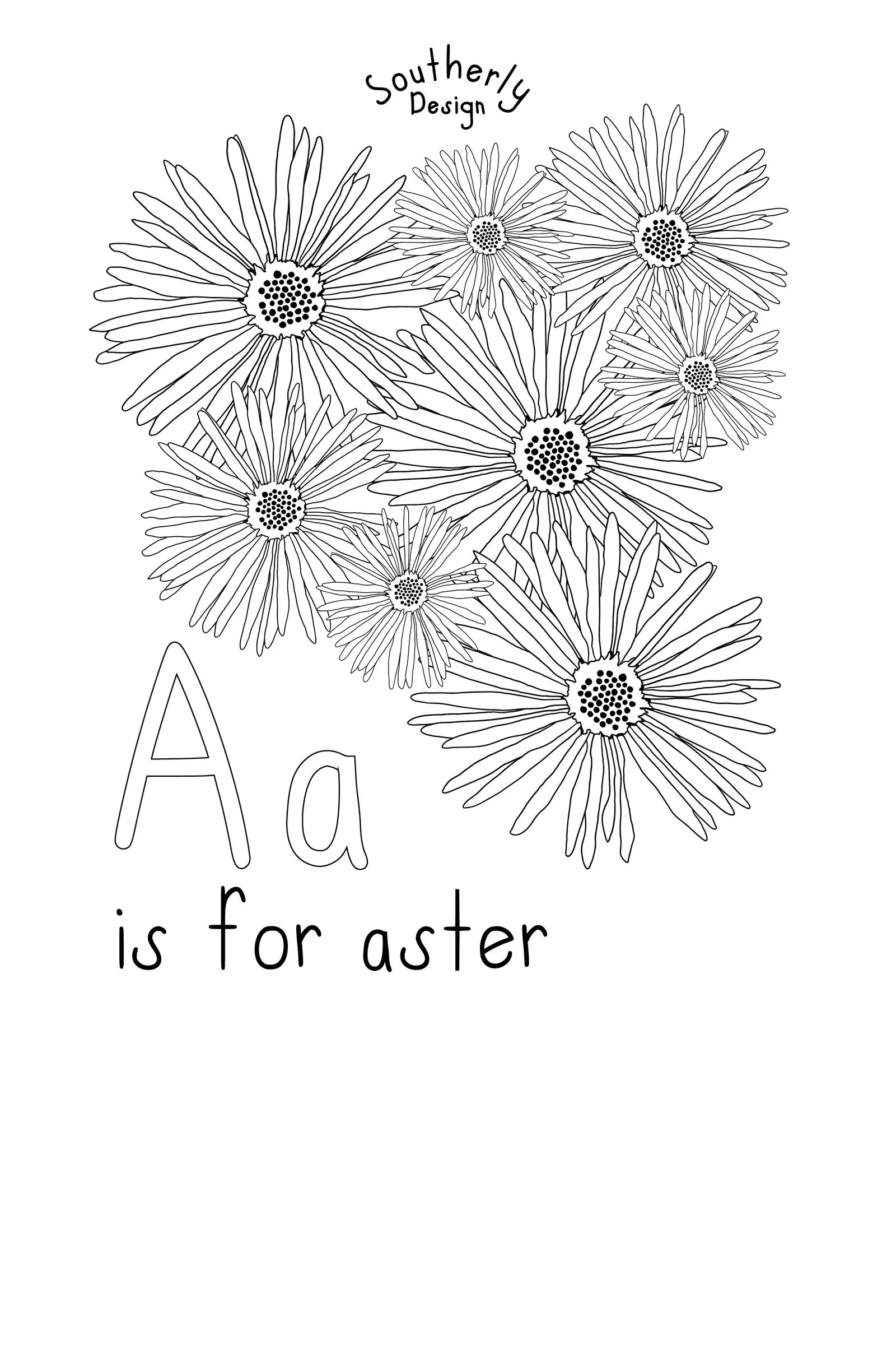 southerly-aster-line-2x3 (1).jpg