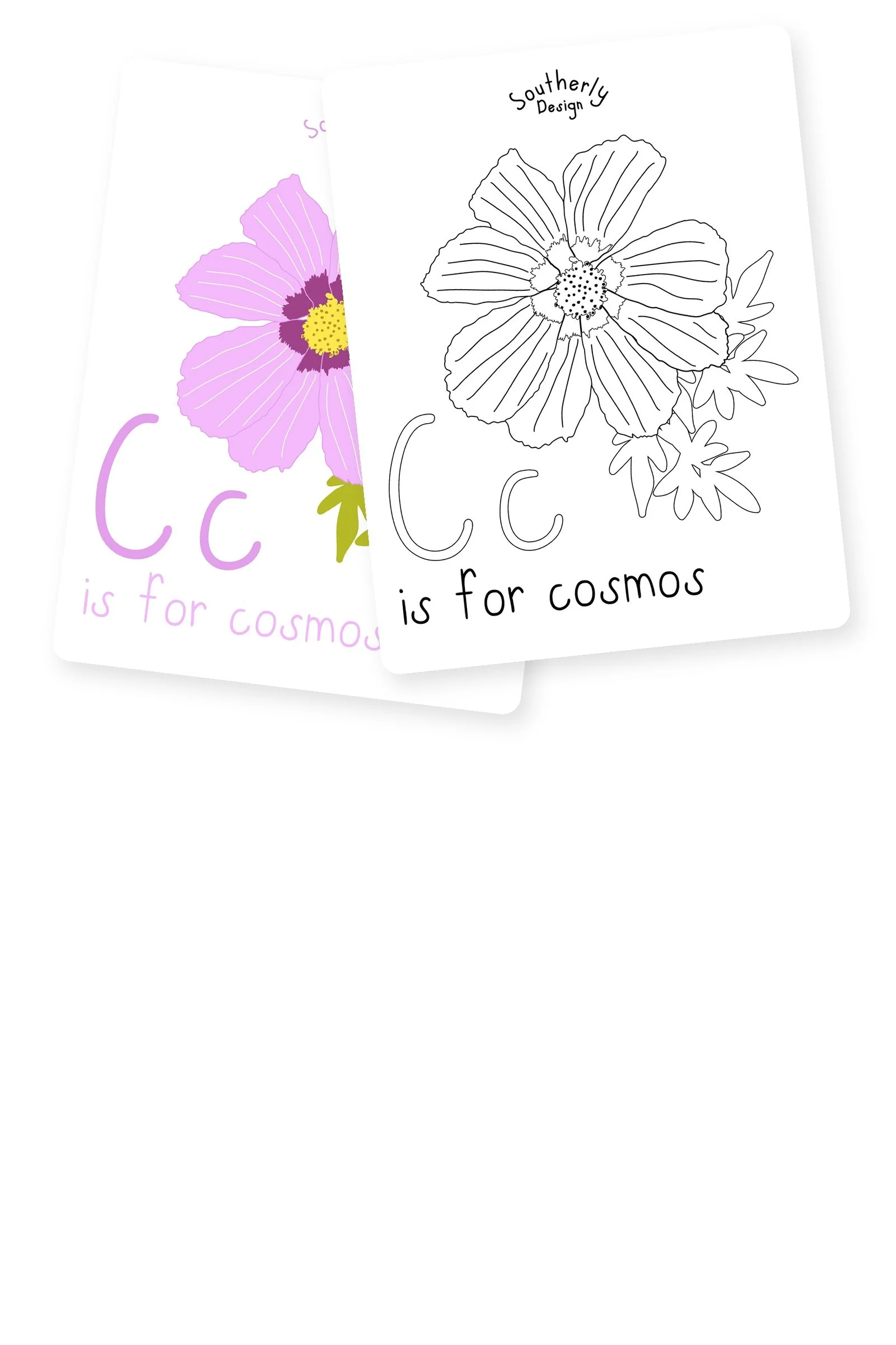 southerly-cosmos-listing-2x3 (1).jpg